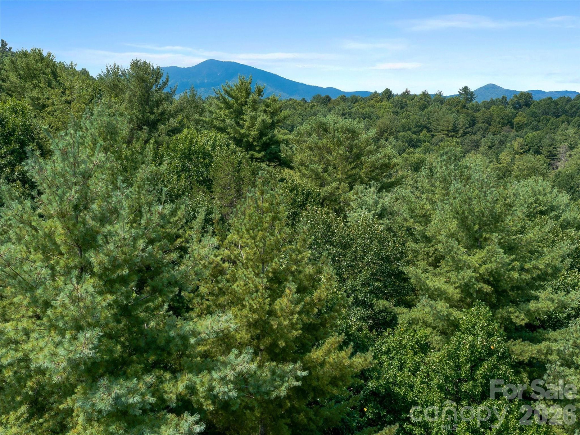 99999 Gordon Lane - Photo 8