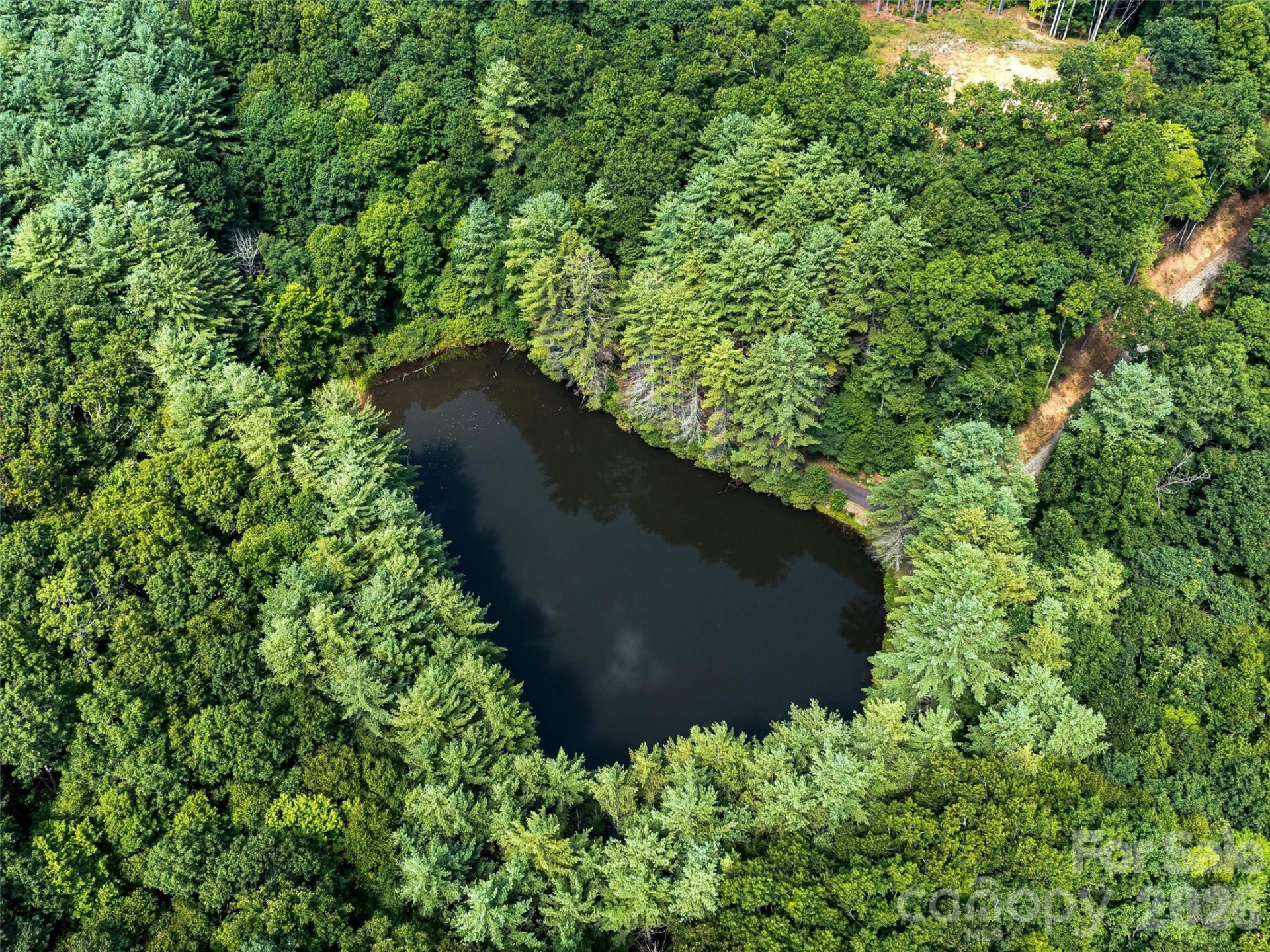 99999 Gordon Lane - Photo 9