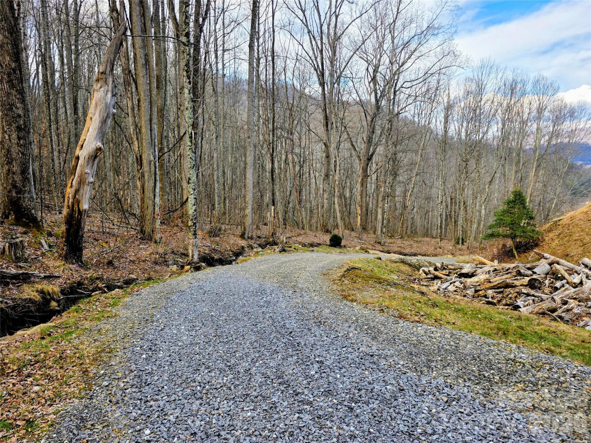 254 Ray Mine Road - Photo 5