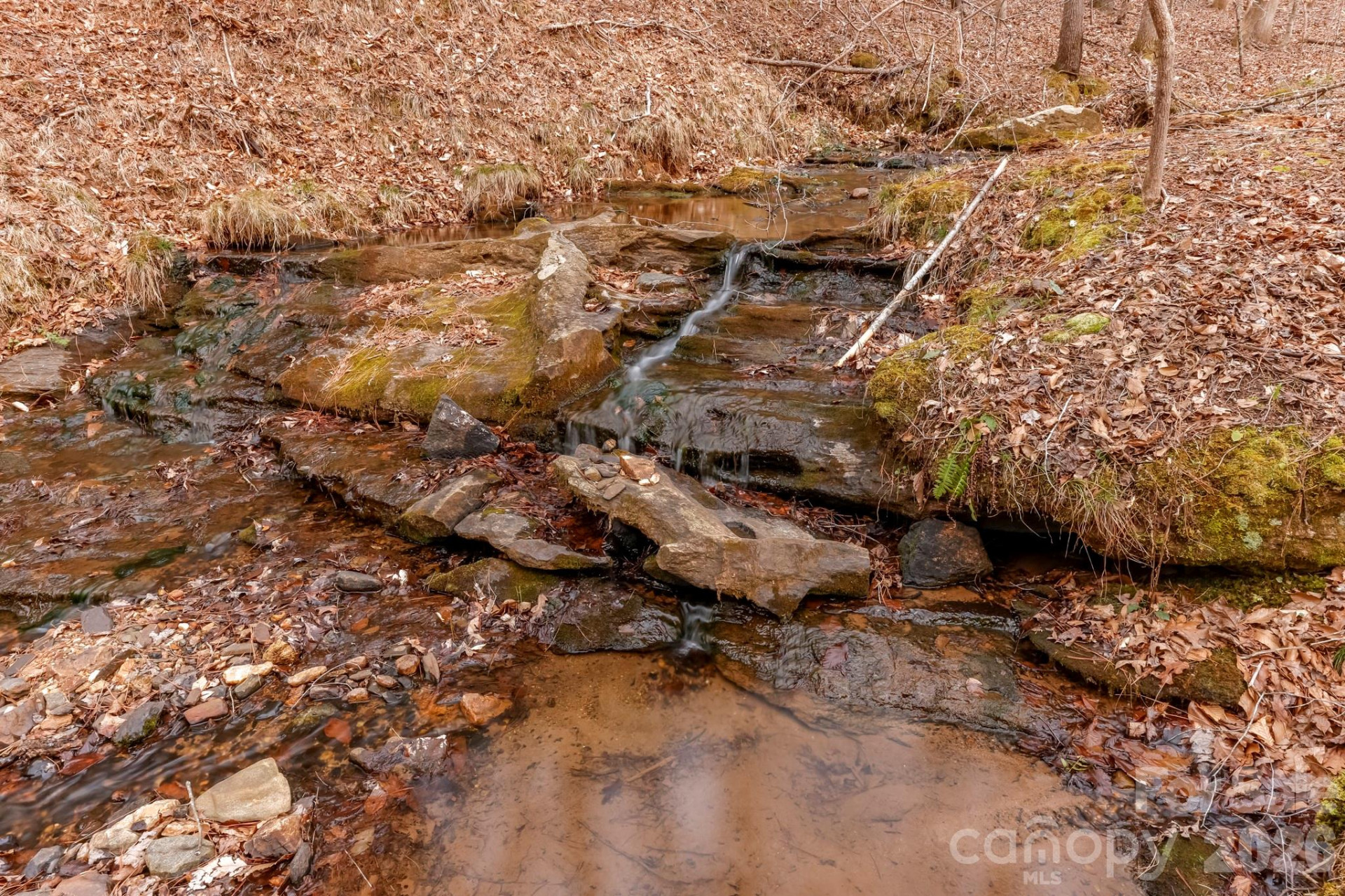 203 Burnt Chimney Lane - Photo 27