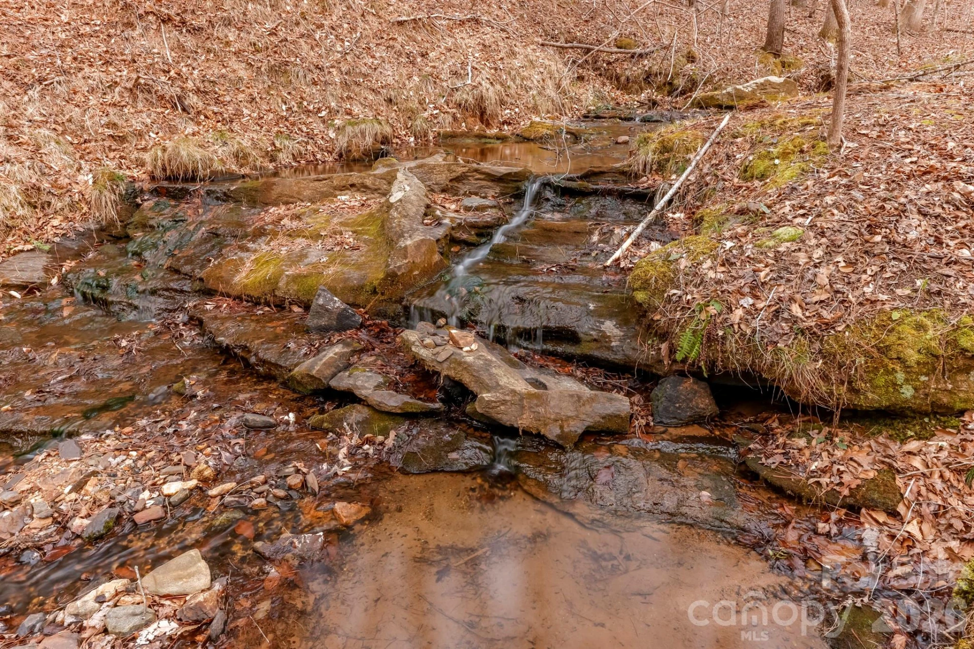 203 Burnt Chimney Lane - Photo 27