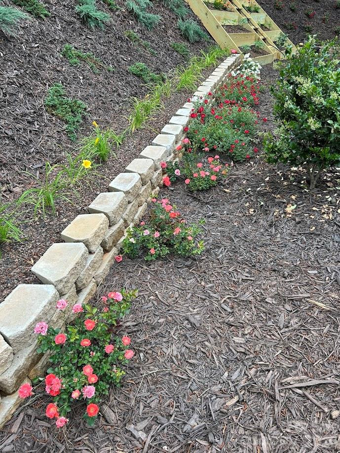 203 Burnt Chimney Lane - Photo 30