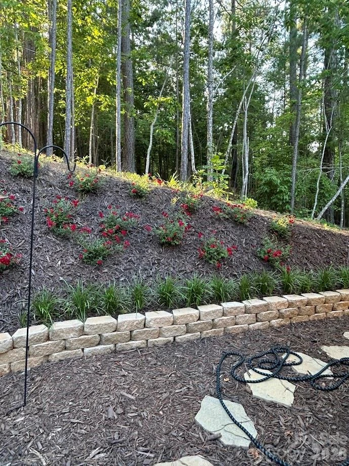 203 Burnt Chimney Lane - Photo 31