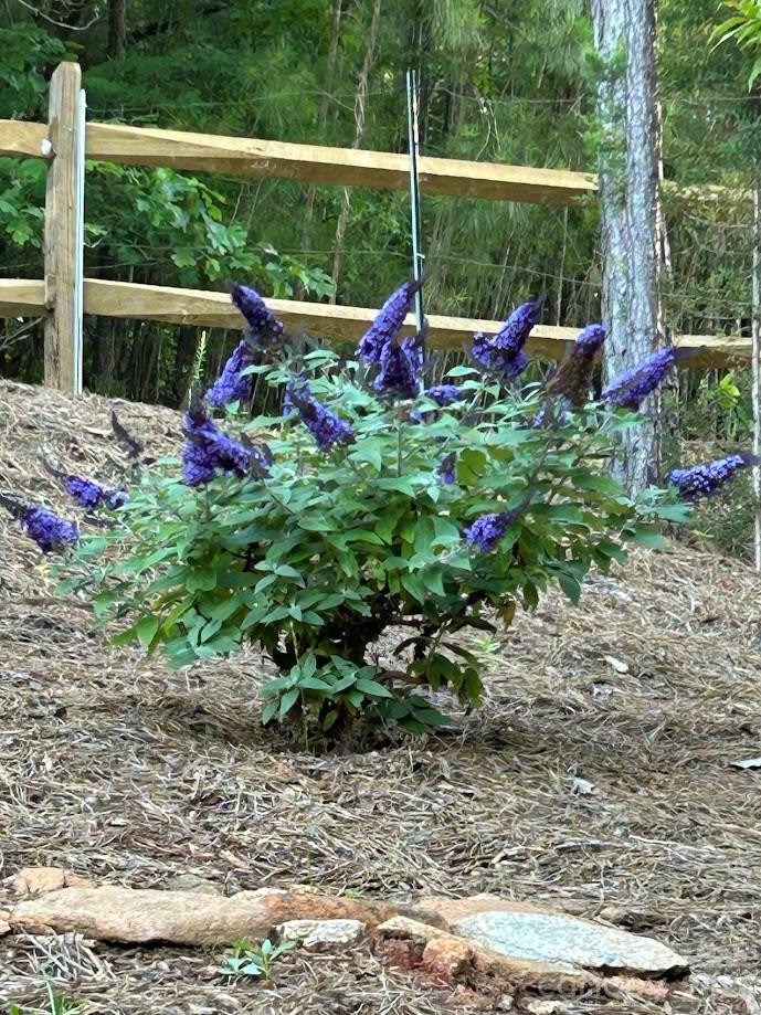 203 Burnt Chimney Lane - Photo 34