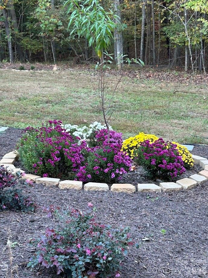 203 Burnt Chimney Lane - Photo 35