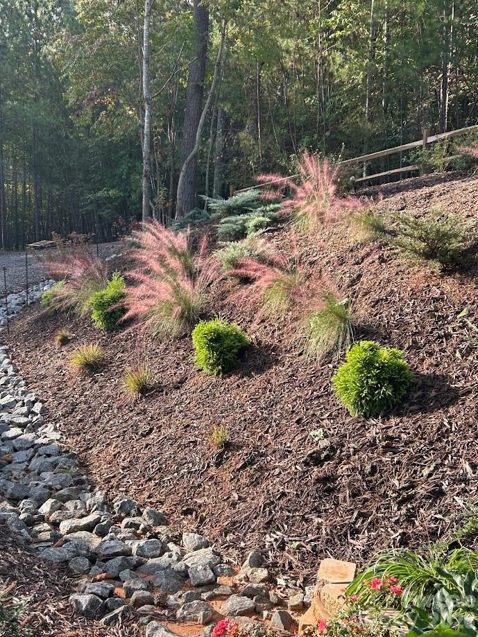 203 Burnt Chimney Lane - Photo 36