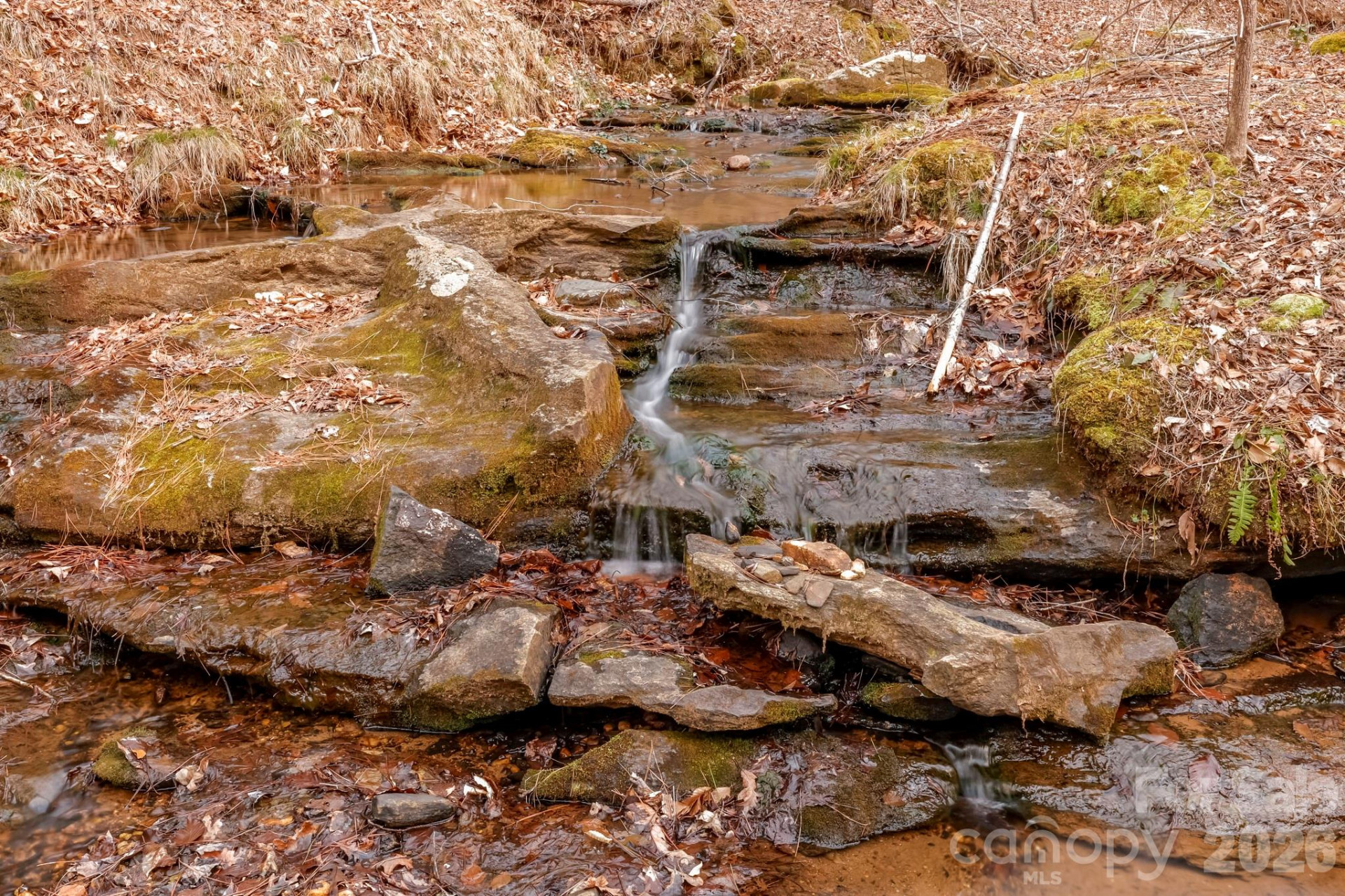 203 Burnt Chimney Lane - Photo 40