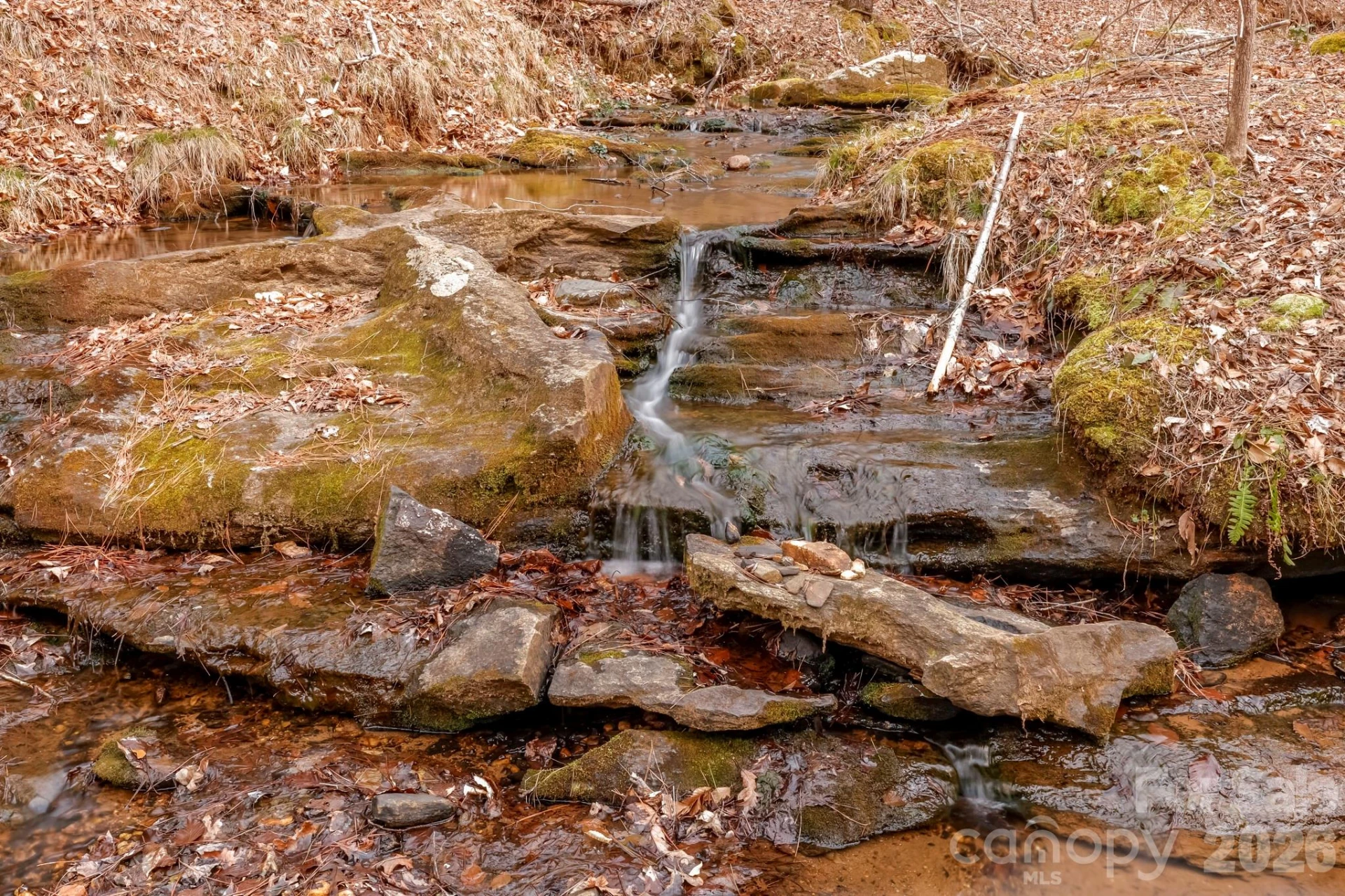 203 Burnt Chimney Lane - Photo 40