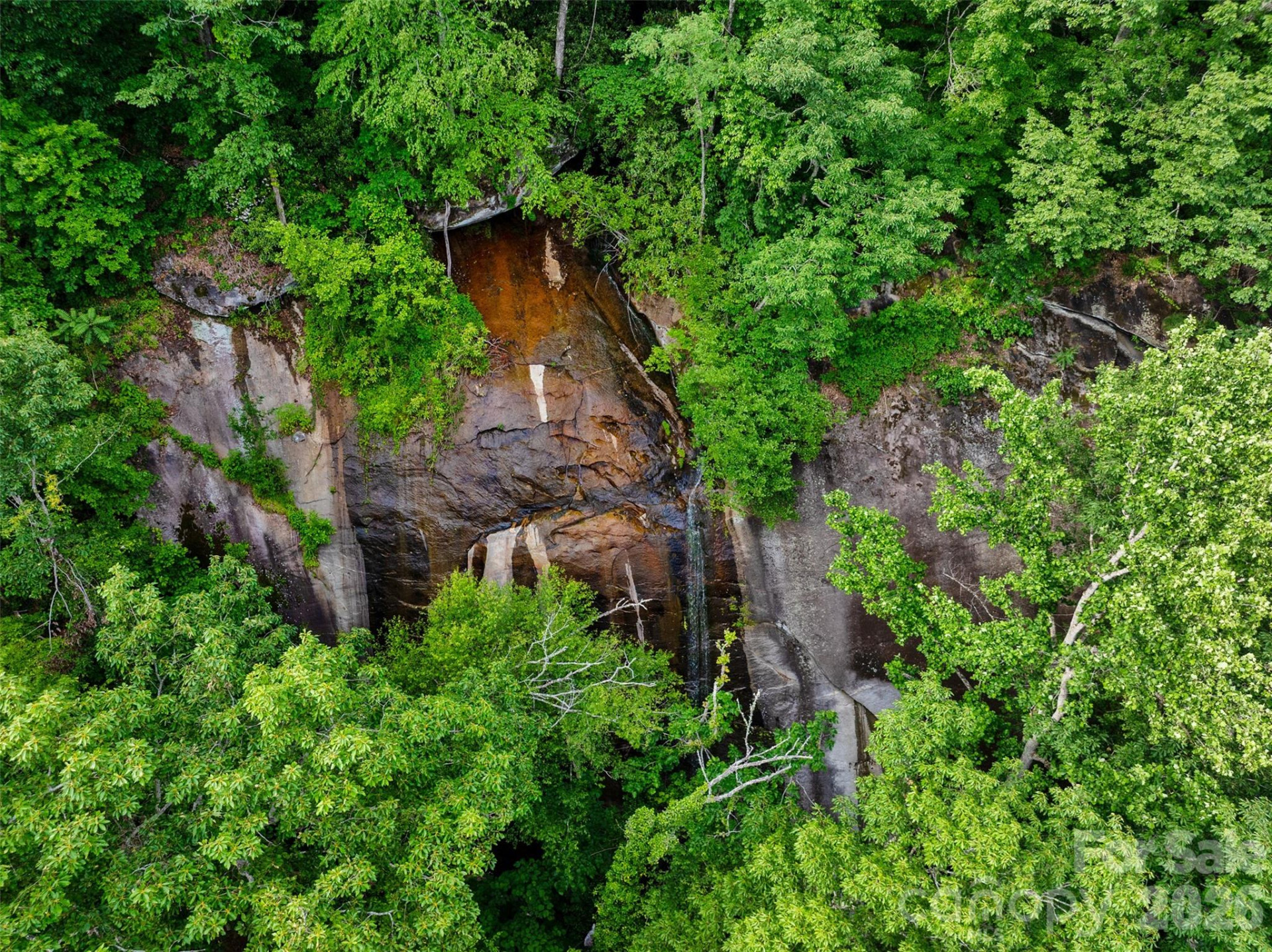 00 Locust Grove Road #2 - Photo 2