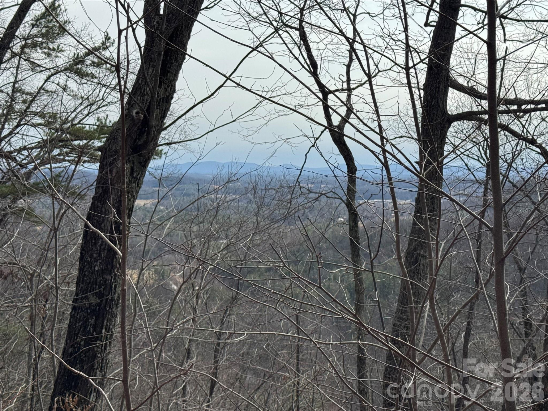 00 Locust Grove Road #2 - Photo 14