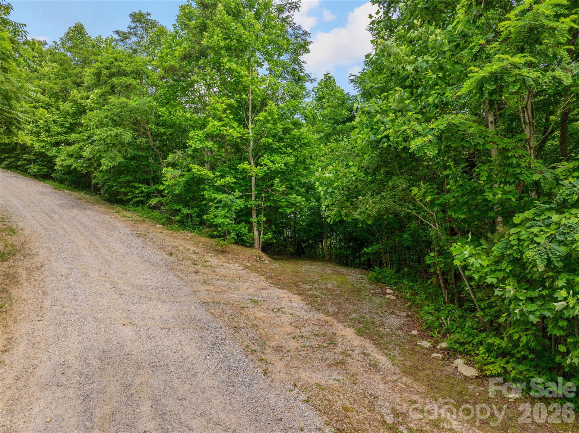 00 Locust Grove Road #2 - Photo 15