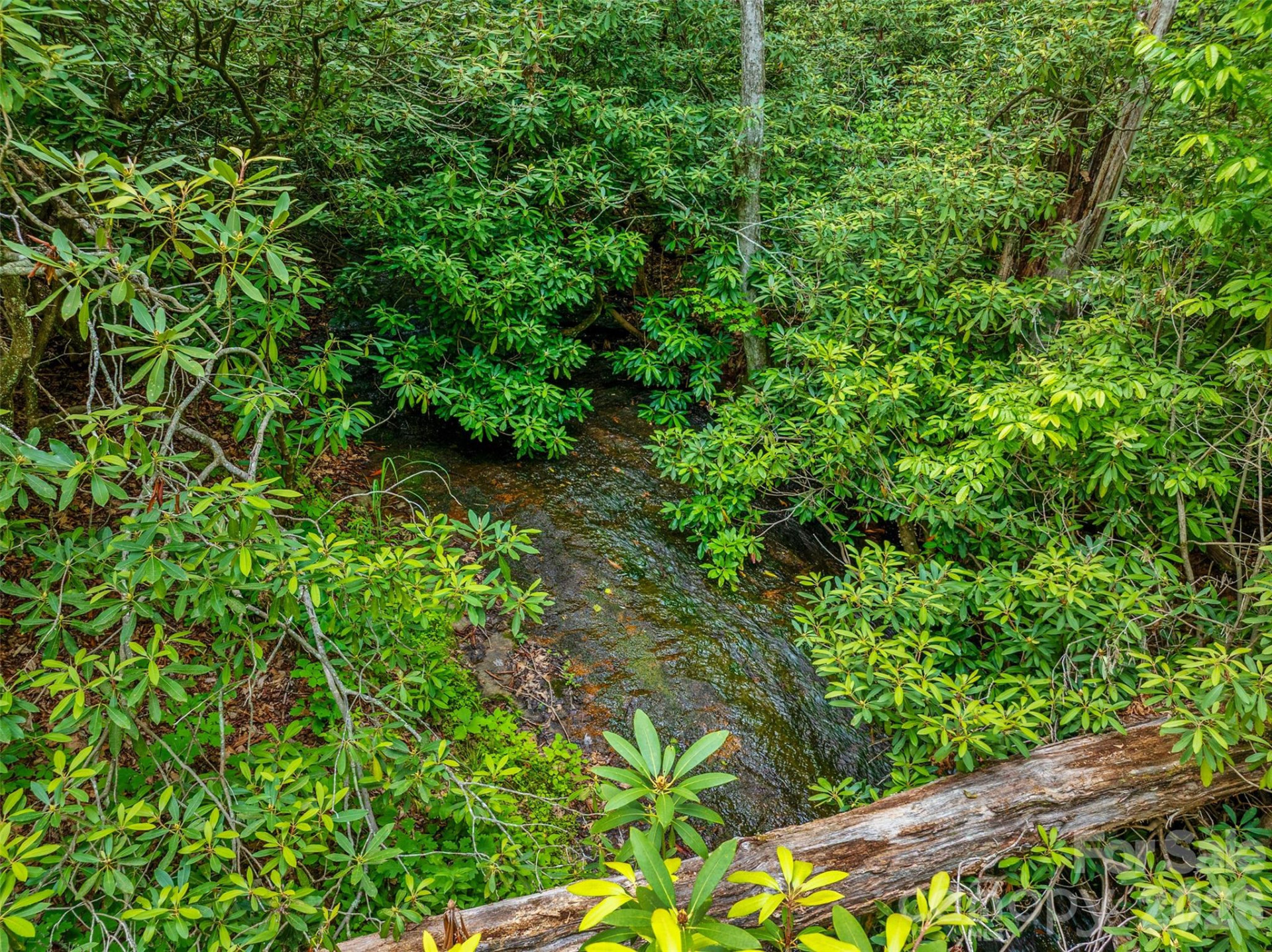 00 Locust Grove Road #2 - Photo 17