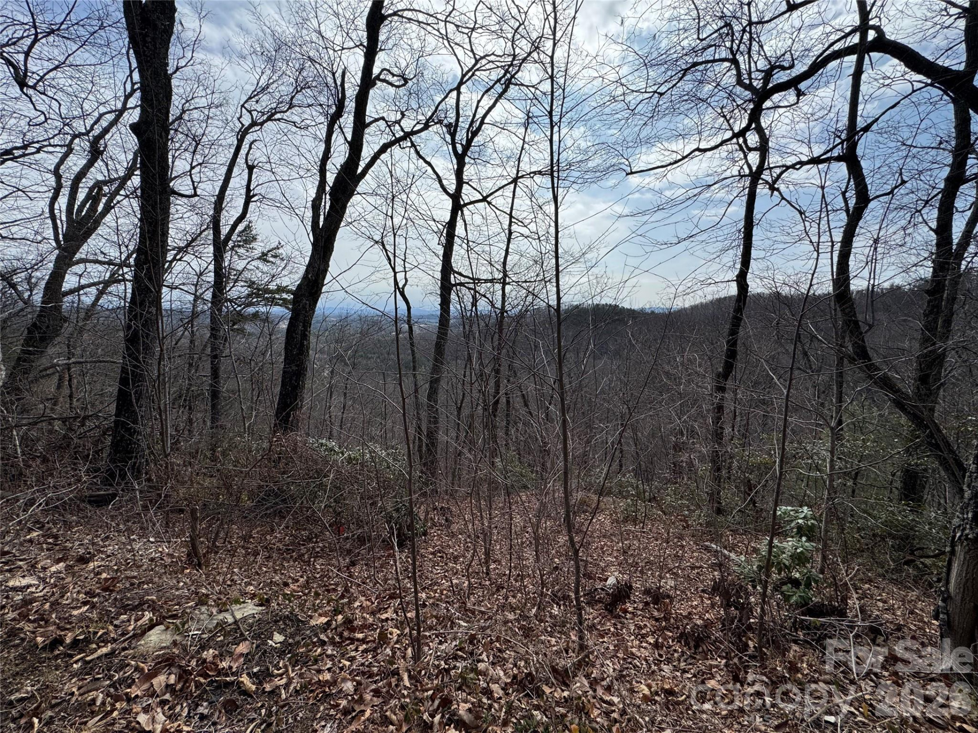 00 Locust Grove Road #2 - Photo 6