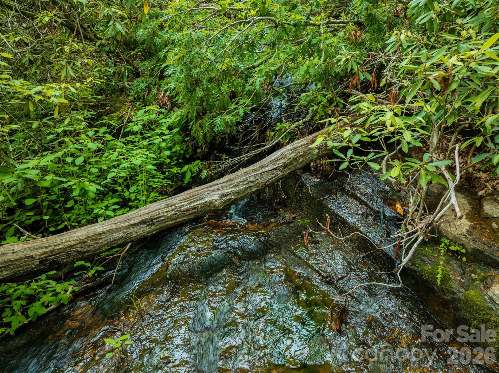 00 Locust Grove Road #2 - Photo 7