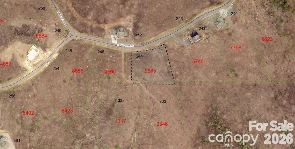 V/L 244 Scenic Vista Drive - Photo 6