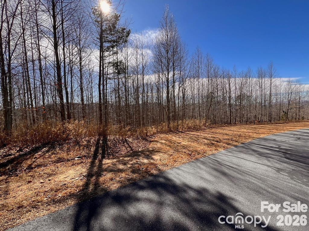 V/L 244 Scenic Vista Drive - Photo 10