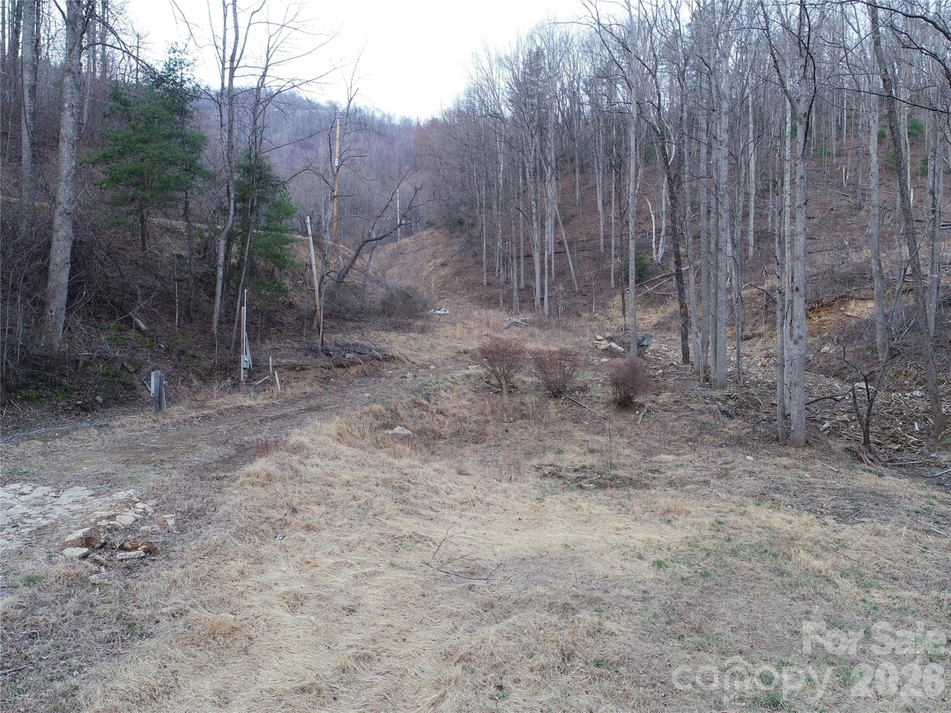 4696 NC Hwy 226A Highway - Photo 2