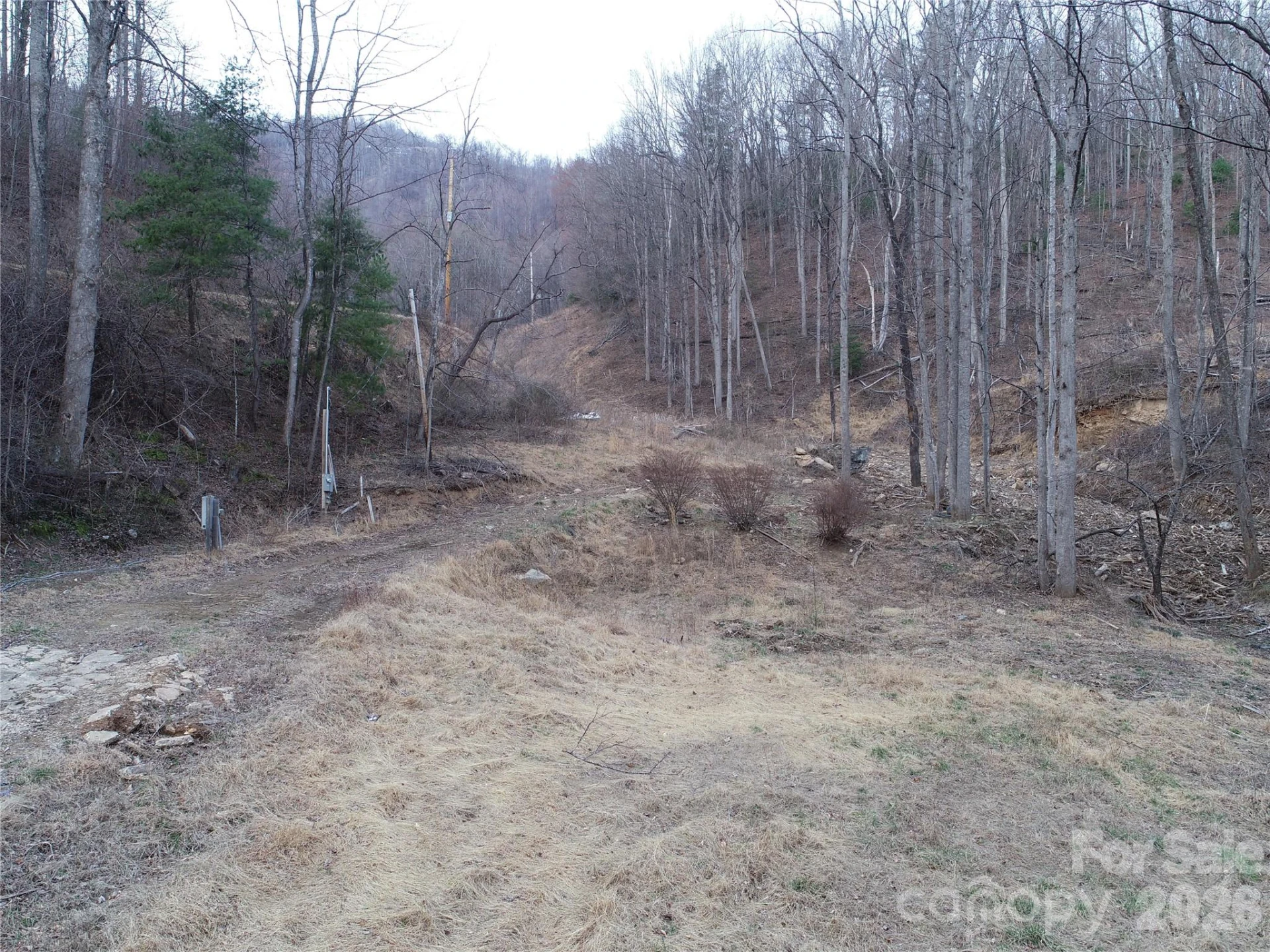 4696 NC Hwy 226A Highway - Photo 2