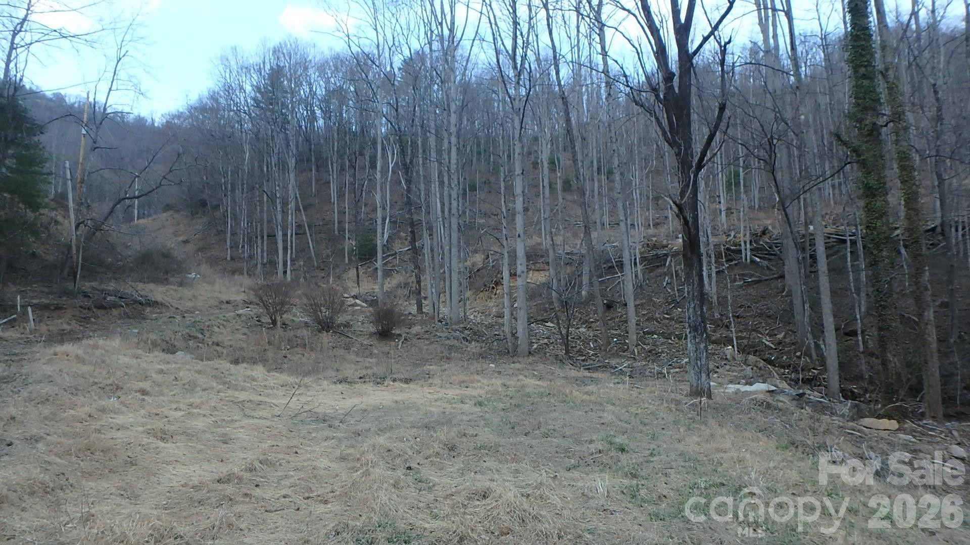 4696 NC Hwy 226A Highway - Photo 5