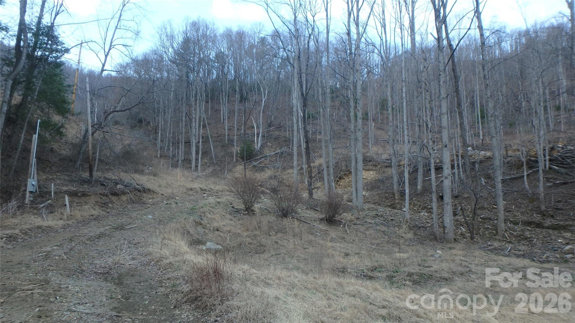 4696 NC Hwy 226A Highway - Photo 6