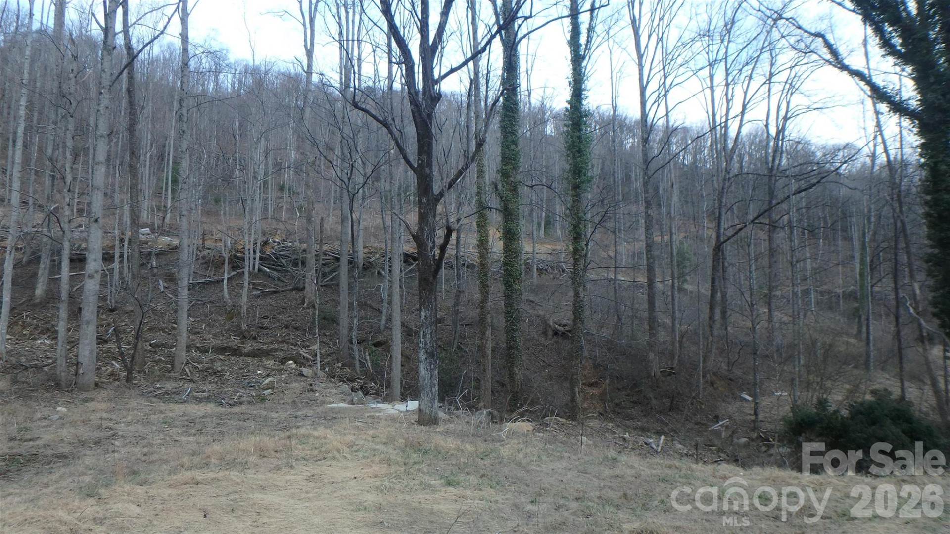 4696 NC Hwy 226A Highway - Photo 7