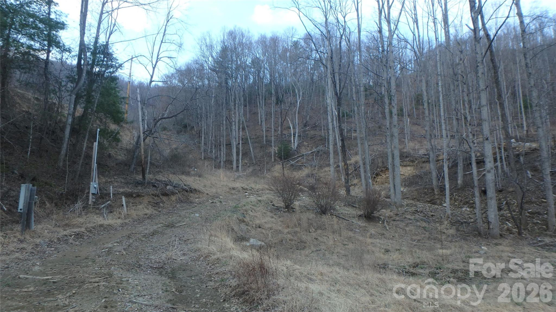 4696 NC Hwy 226A Highway - Photo 8