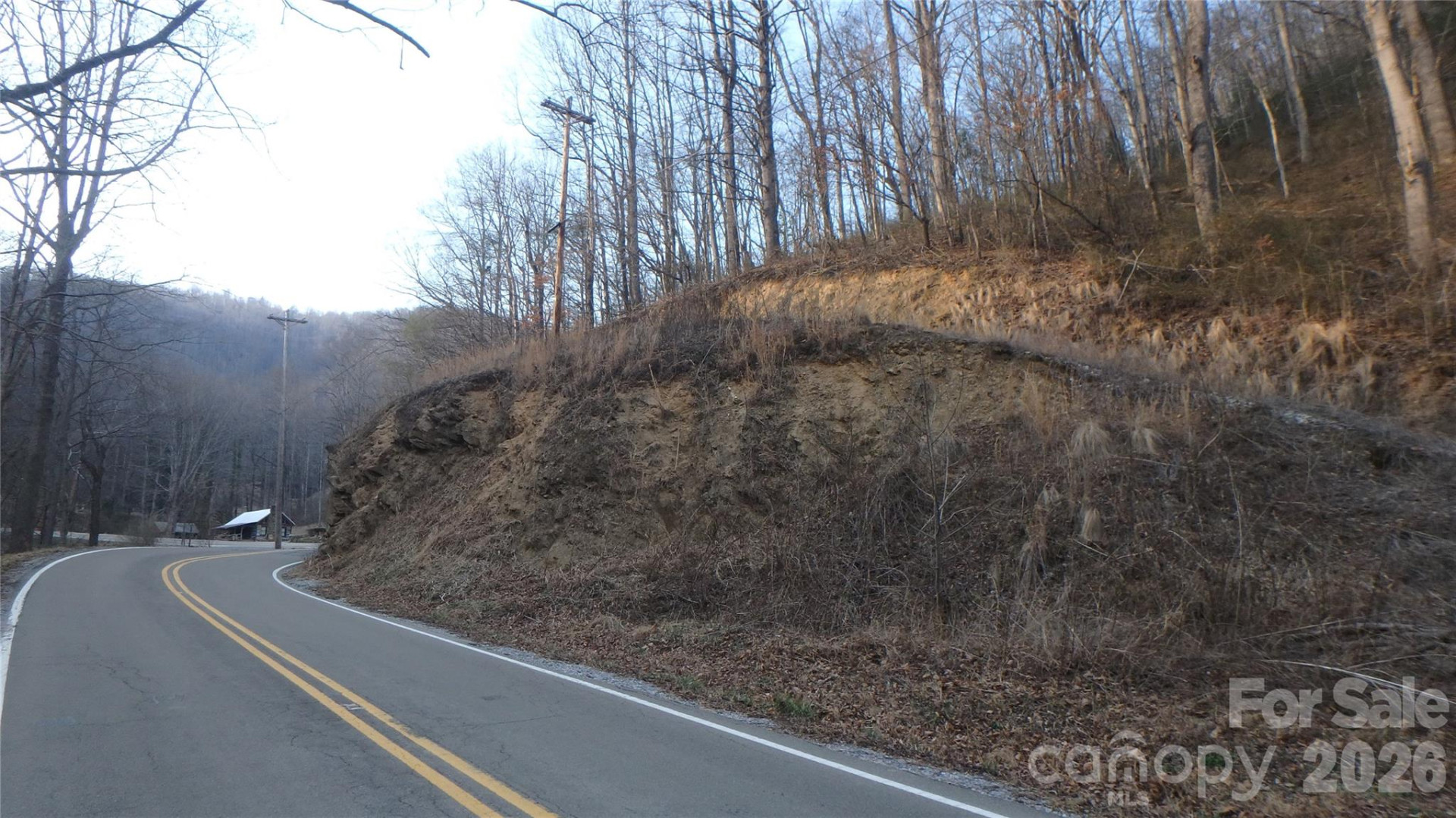 4696 NC Hwy 226A Highway - Photo 9