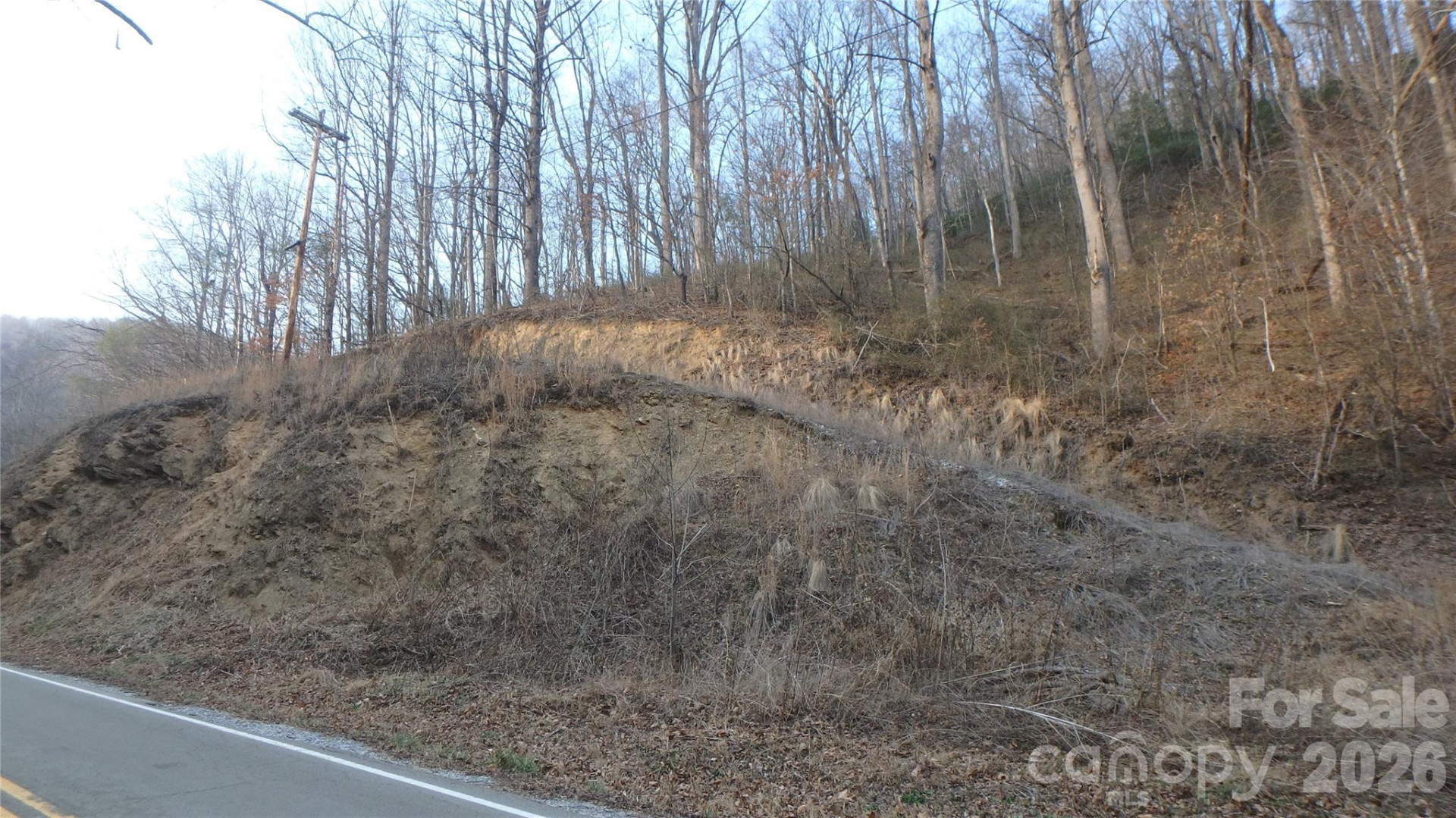 4696 NC Hwy 226A Highway - Photo 10