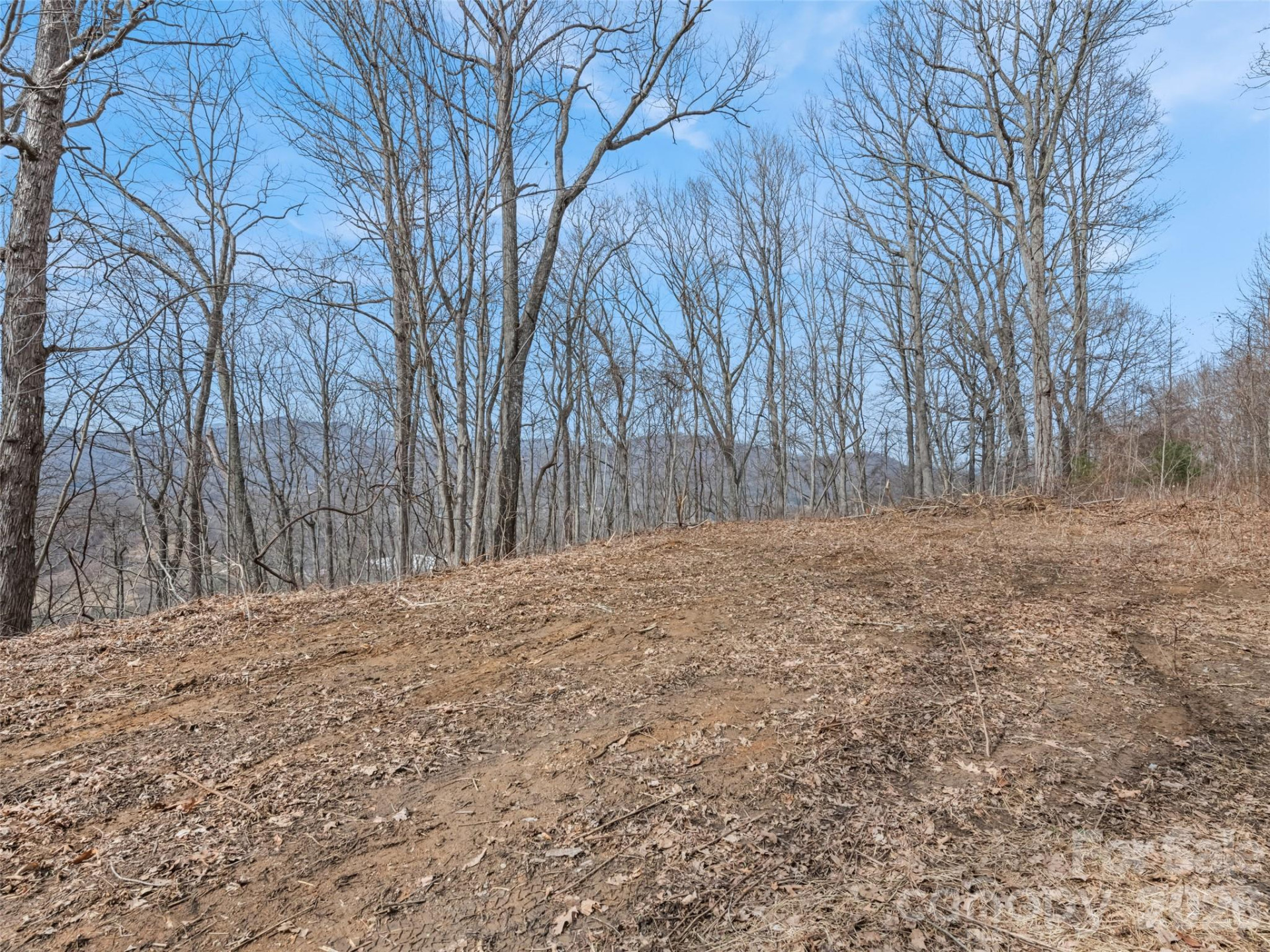 Lot #3 Viewpoint Mountain - Photo 5