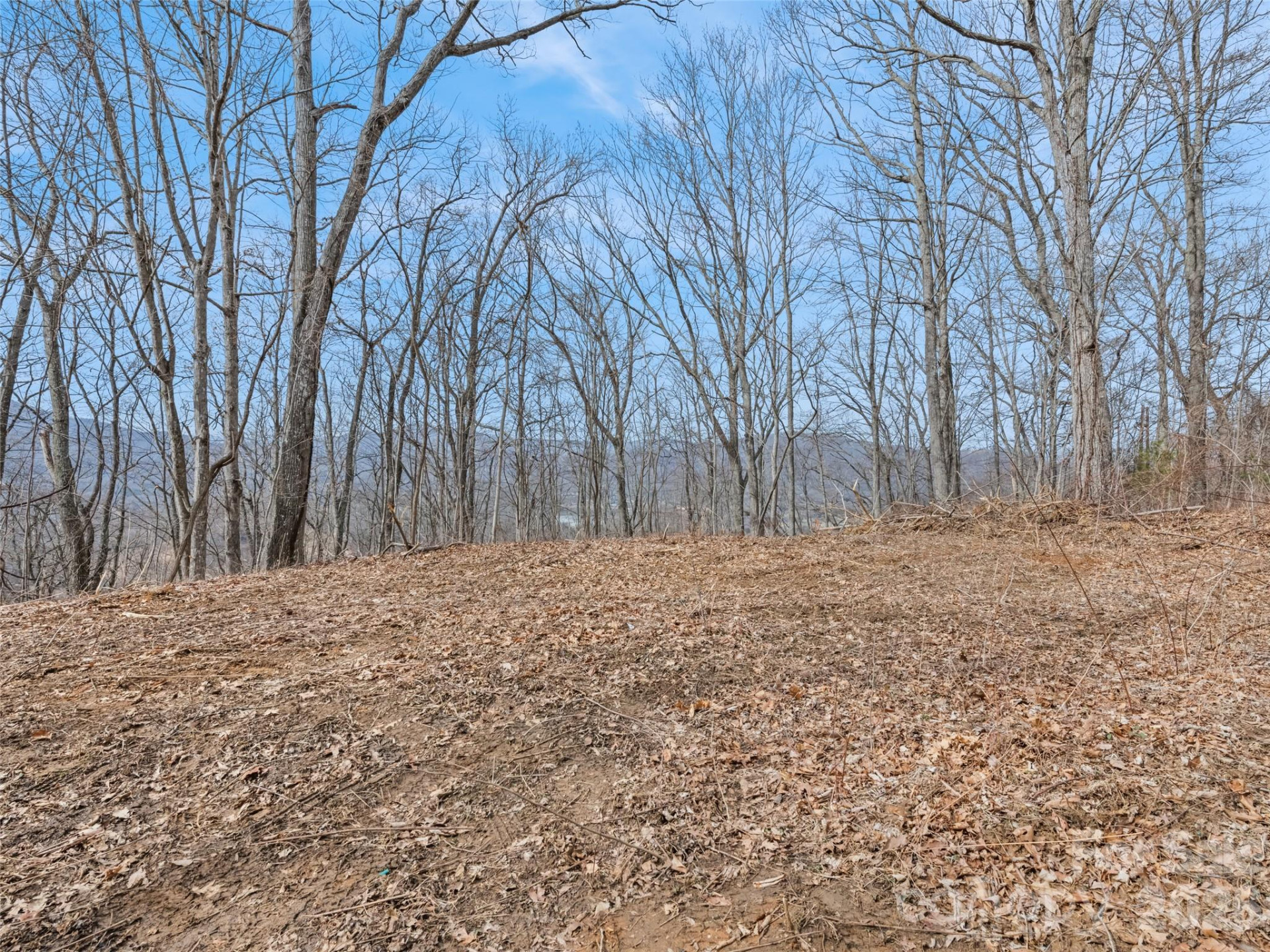 Lot #3 Viewpoint Mountain - Photo 6