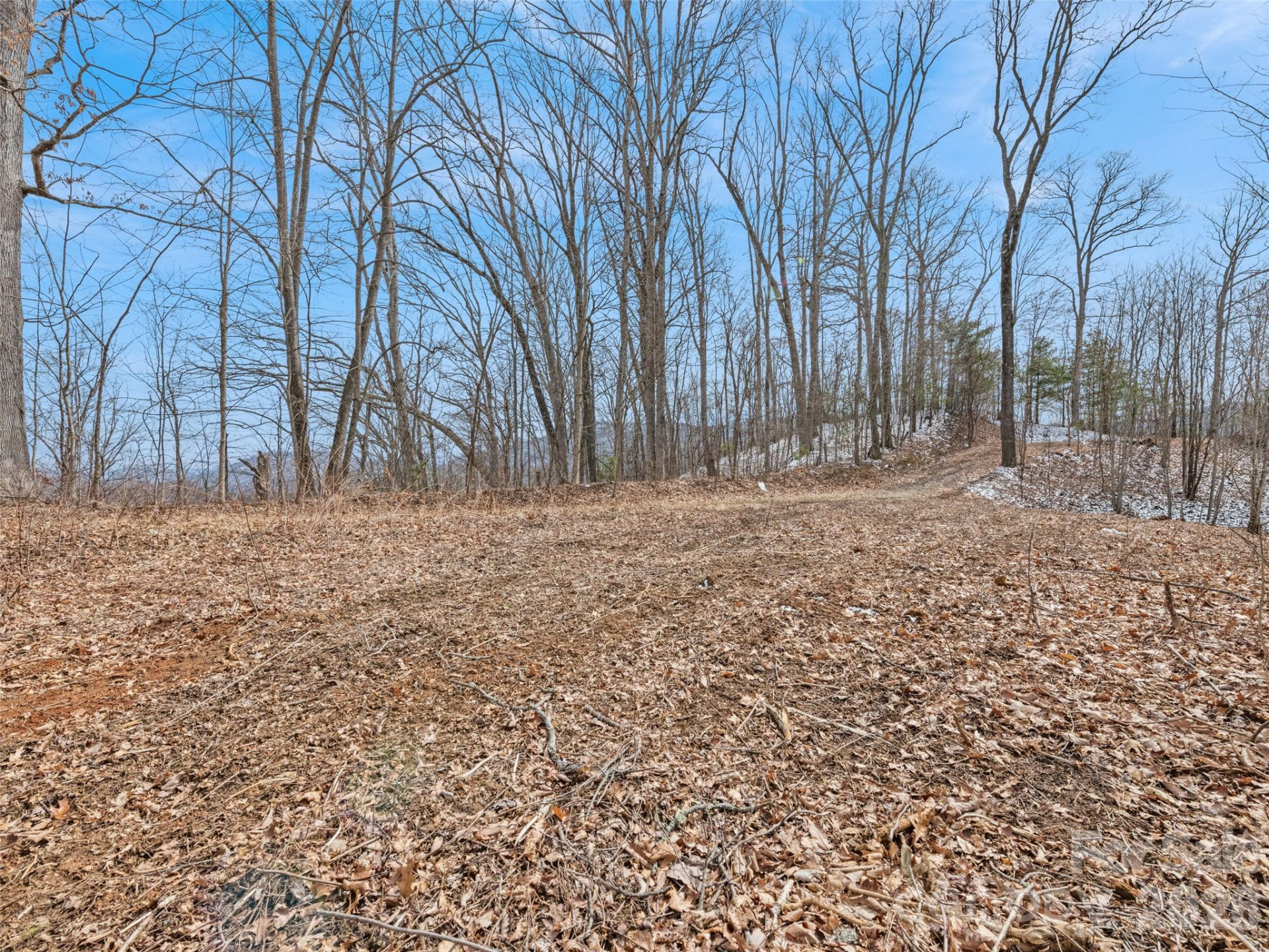 Lot #3 Viewpoint Mountain - Photo 8