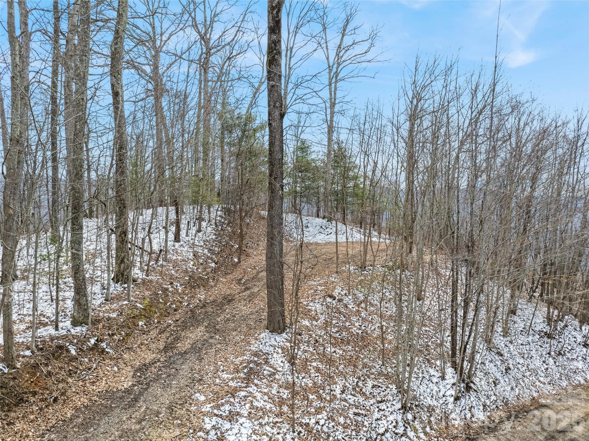 Lot #4 Viewpoint Mountain - Photo 2