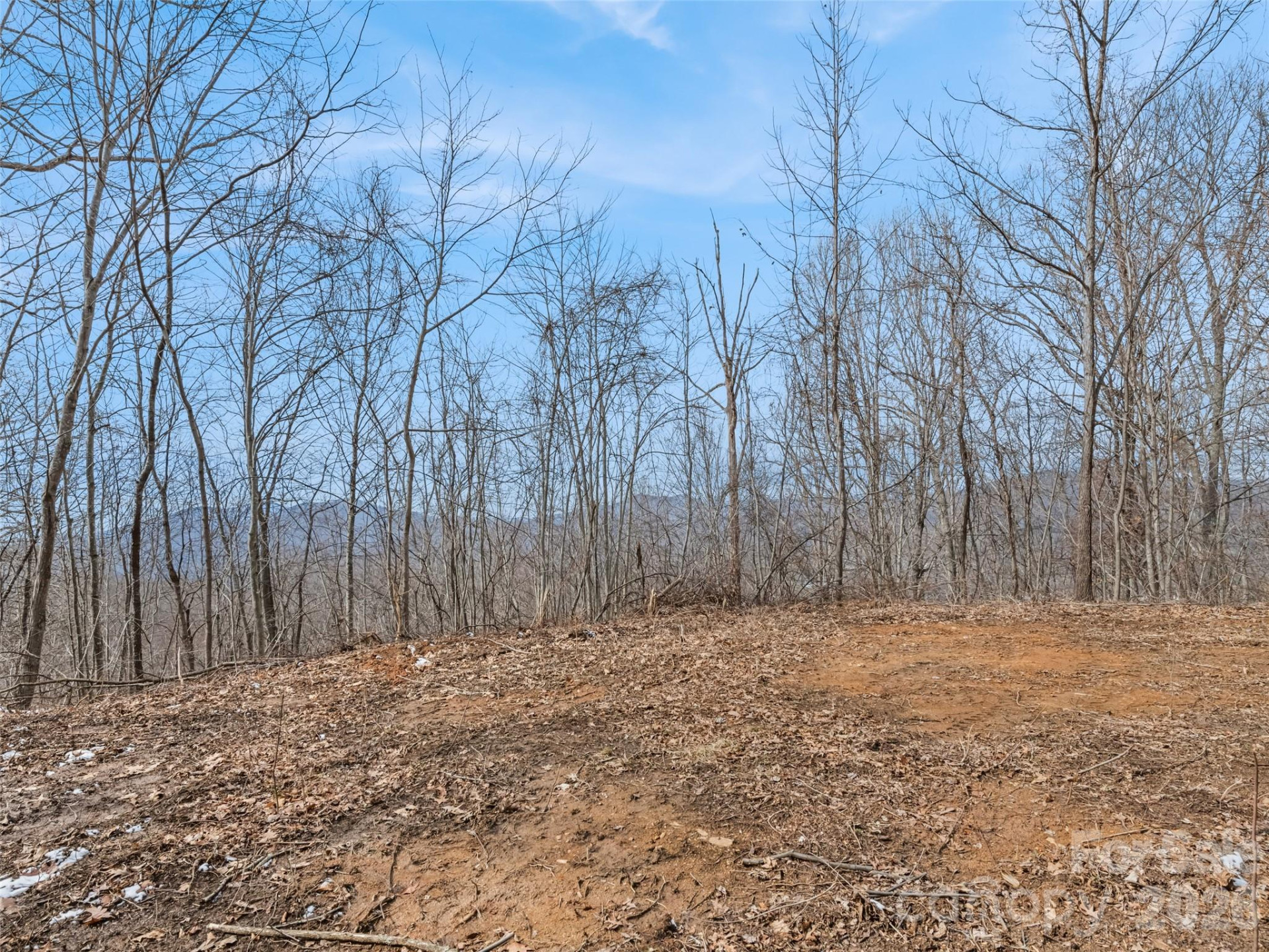 Lot #4 Viewpoint Mountain - Photo 6