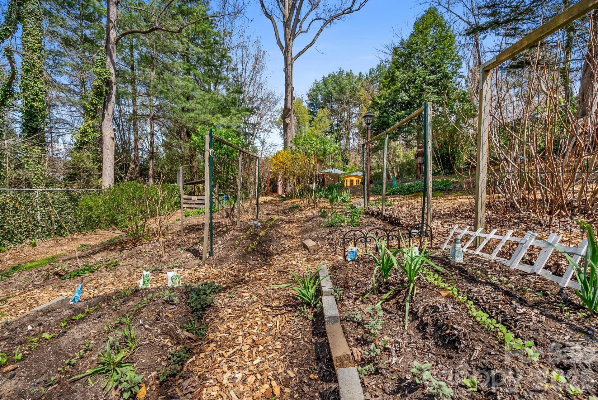 48 Springvale Avenue - Photo 35