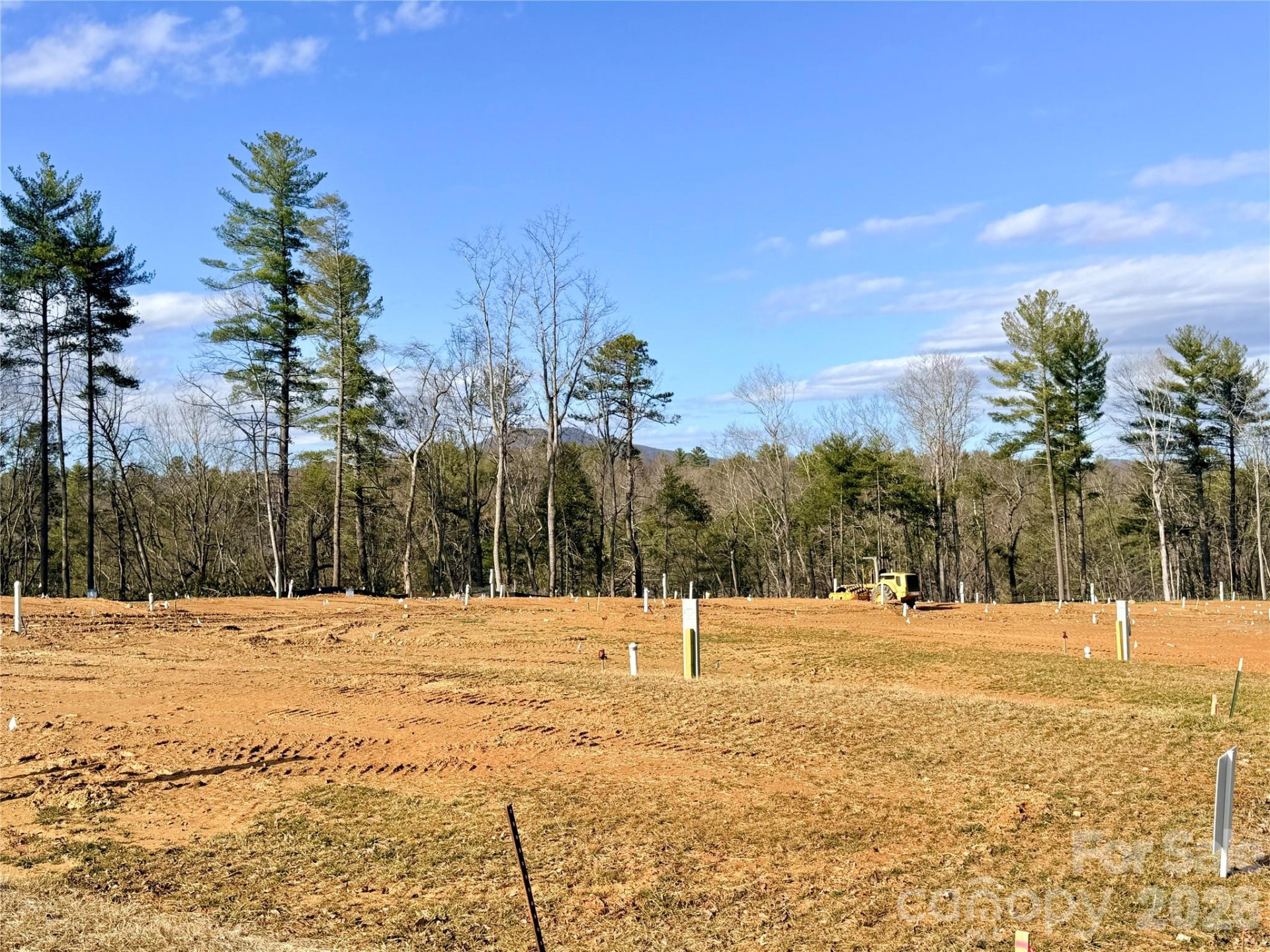 TBD Bluehill Parkway #133 - Photo 4