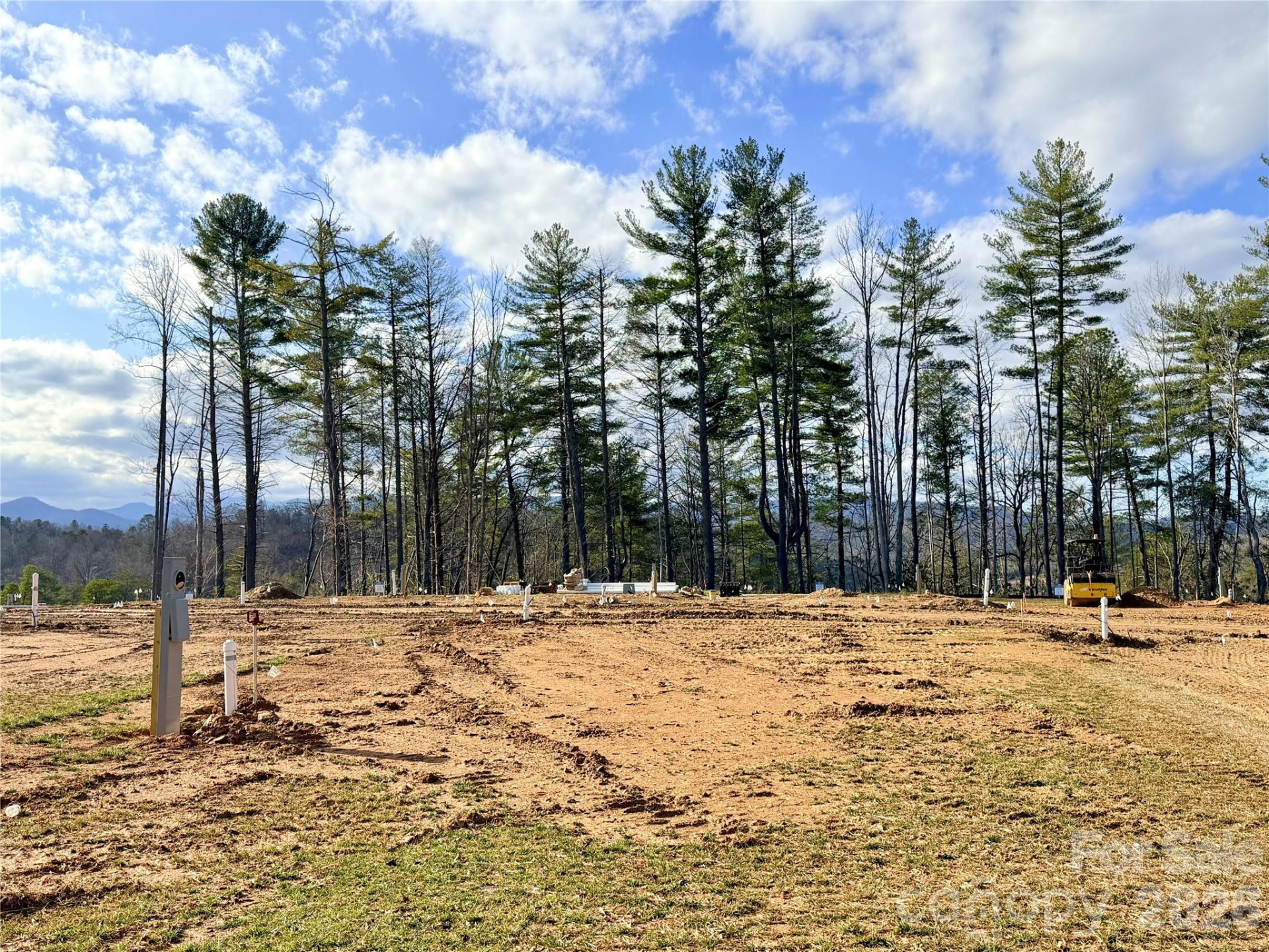 TBD Bluehill Parkway #133 - Photo 5