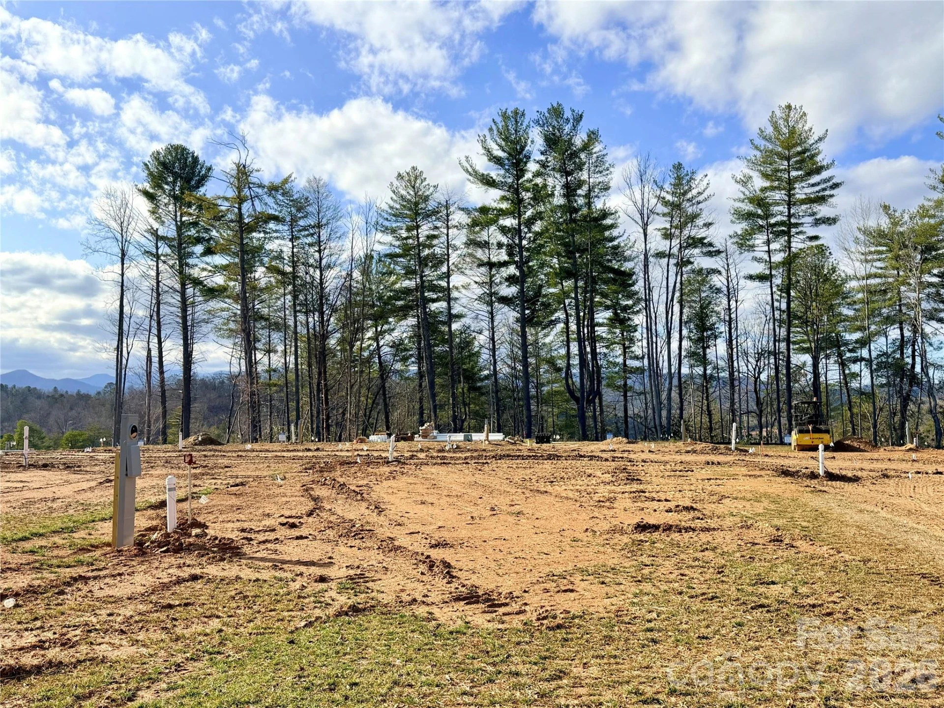 TBD Bluehill Parkway #133 - Photo 5