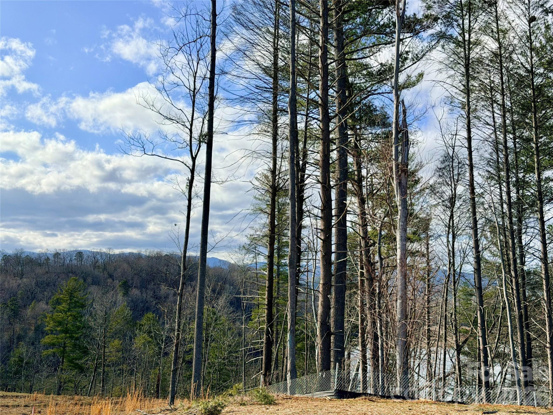 TBD Bluehill Parkway #133 - Photo 6