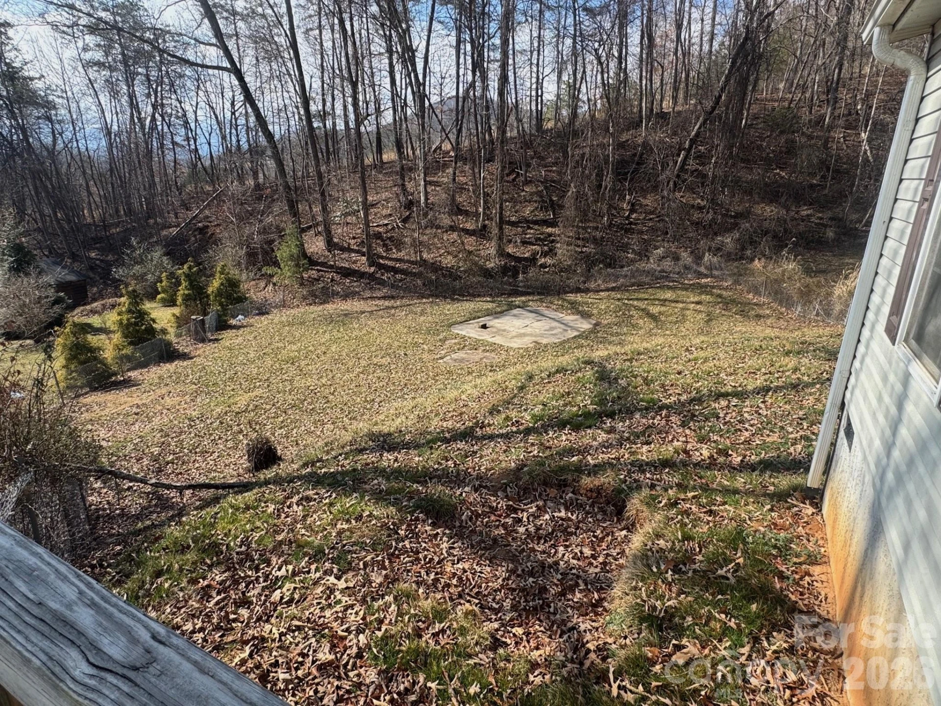 31 Parker Drive - Photo 5
