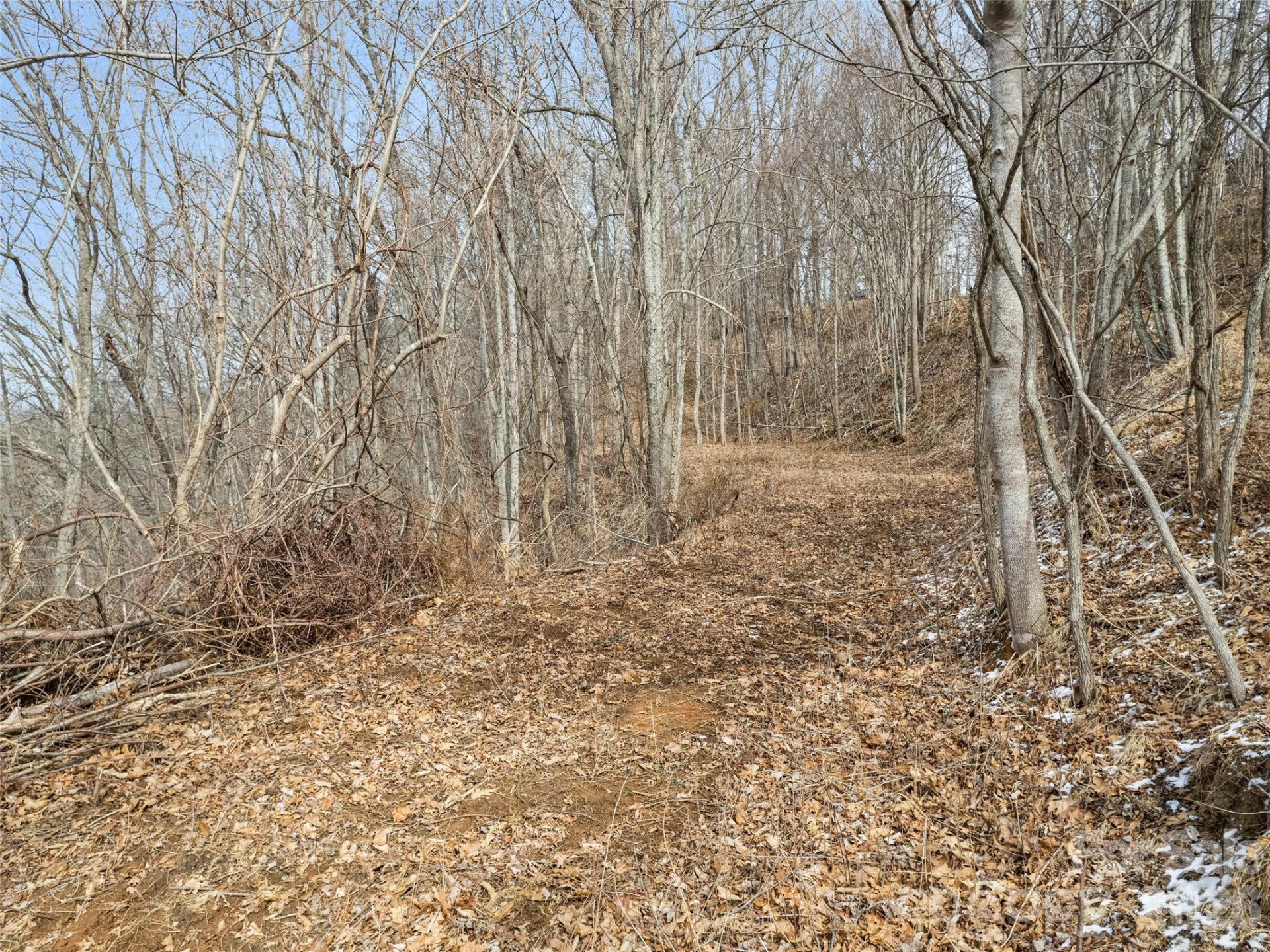 Lot #5 Viewpoint Mountain - Photo 5