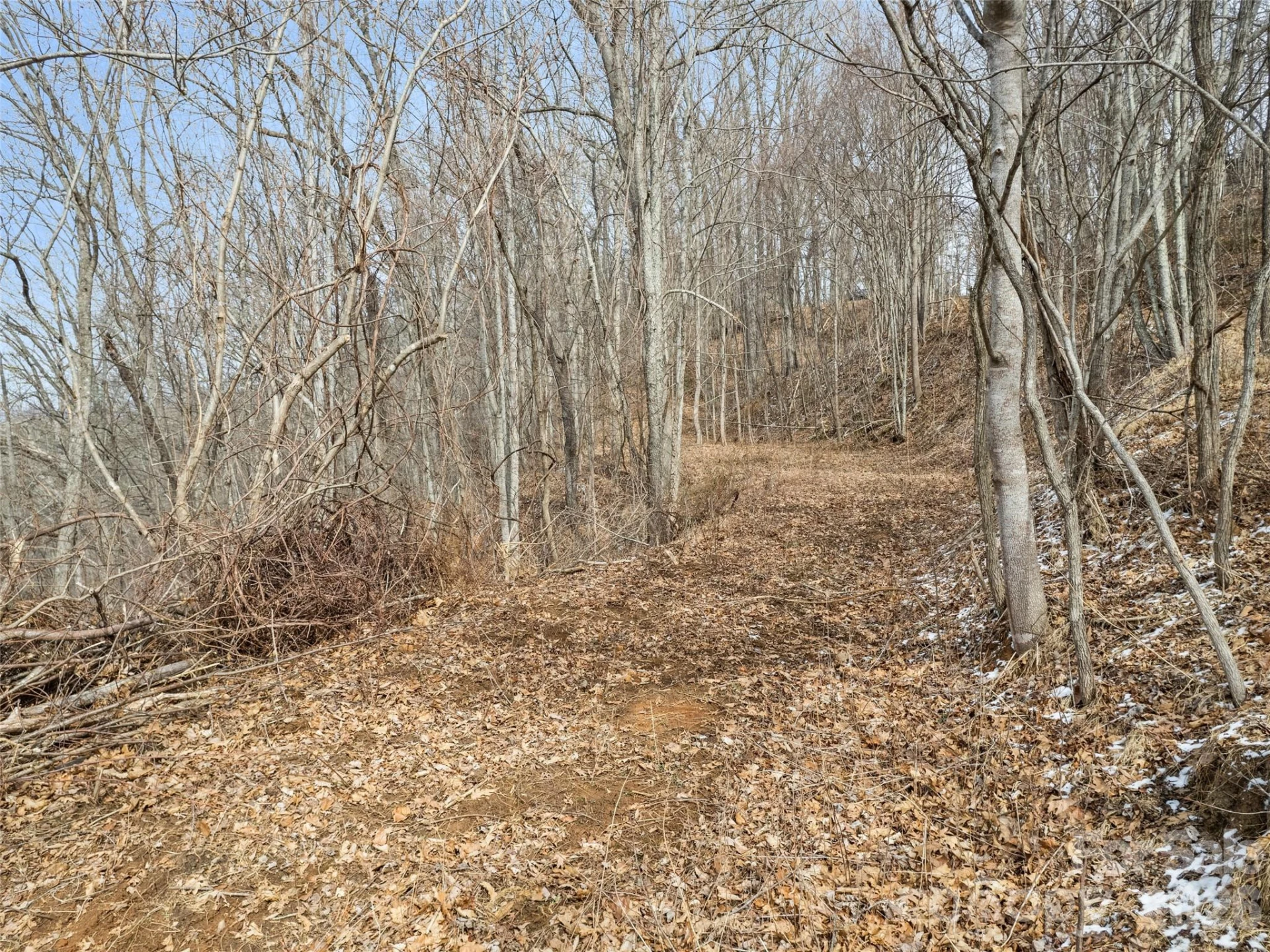 Lot #5 Viewpoint Mountain - Photo 5