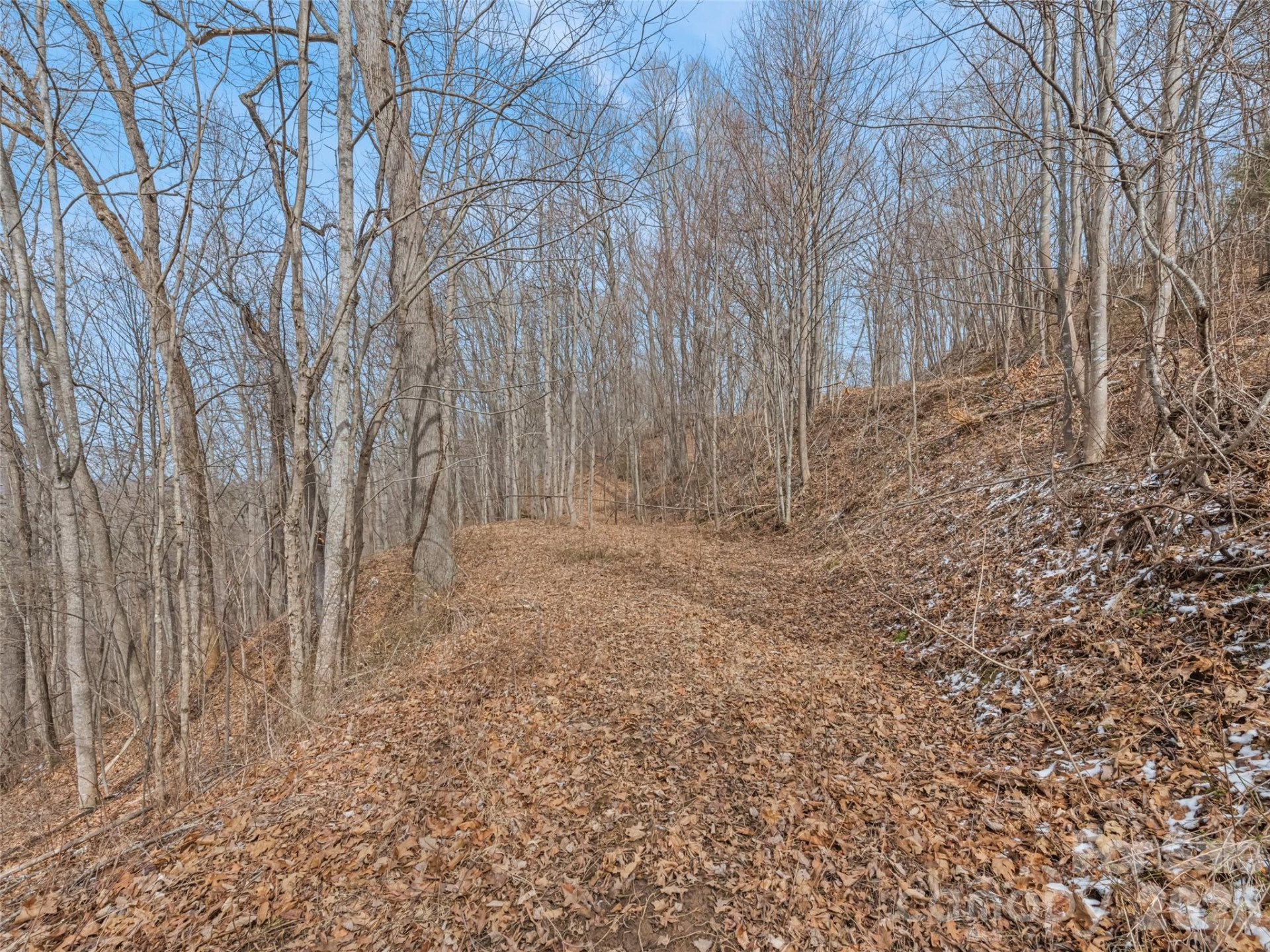 Lot #5 Viewpoint Mountain - Photo 6