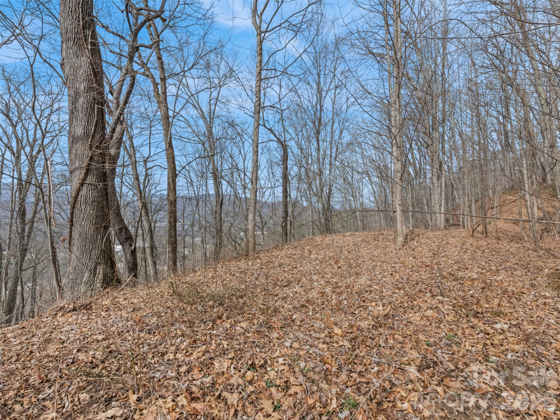 Lot #5 Viewpoint Mountain - Photo 7