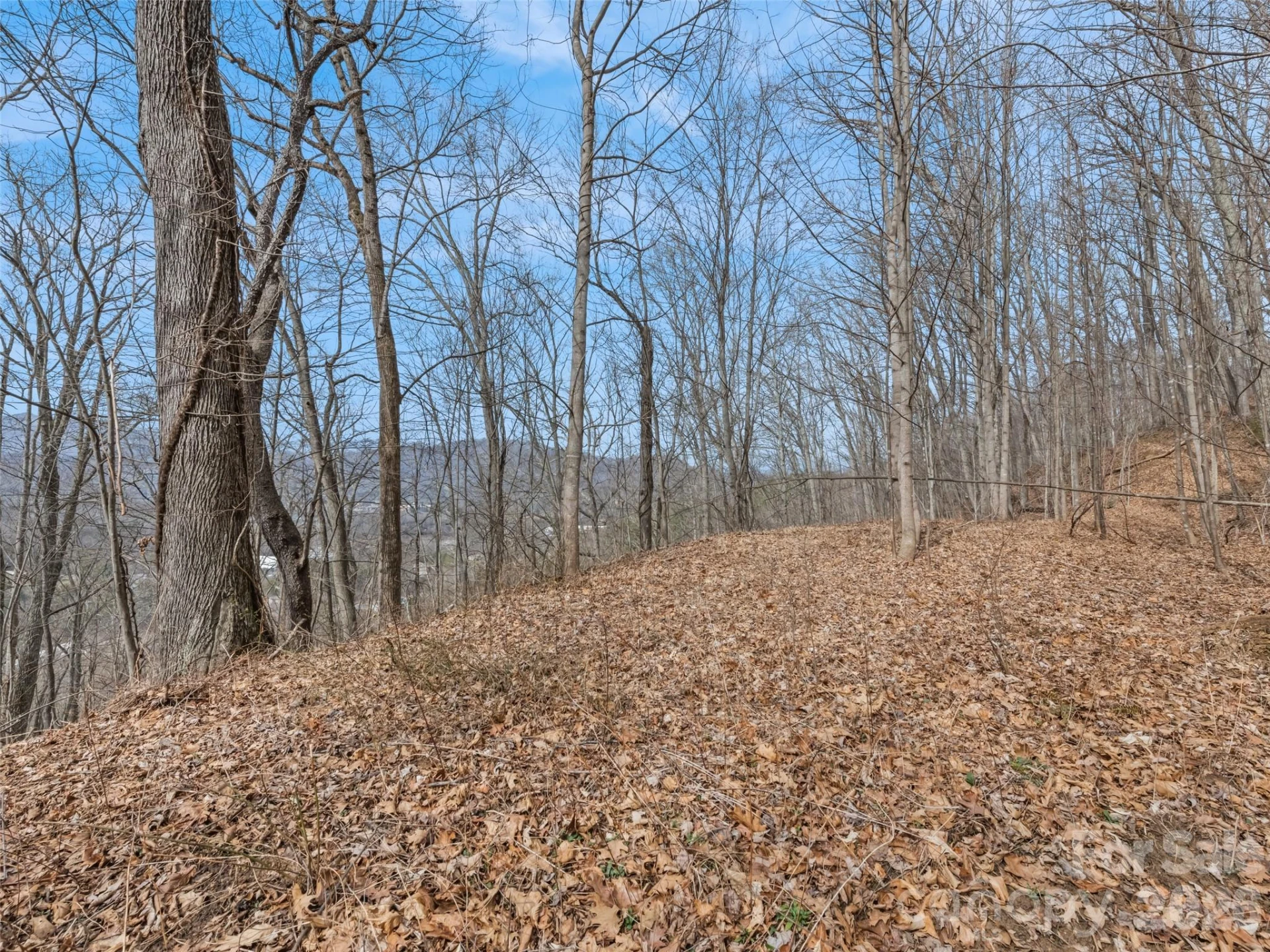 Lot #5 Viewpoint Mountain - Photo 7