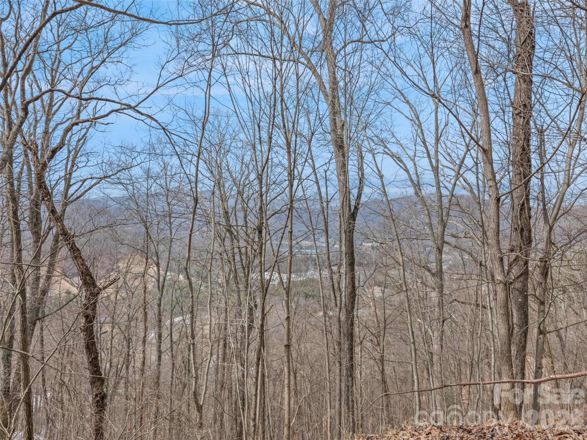 Lot #5 Viewpoint Mountain - Photo 8