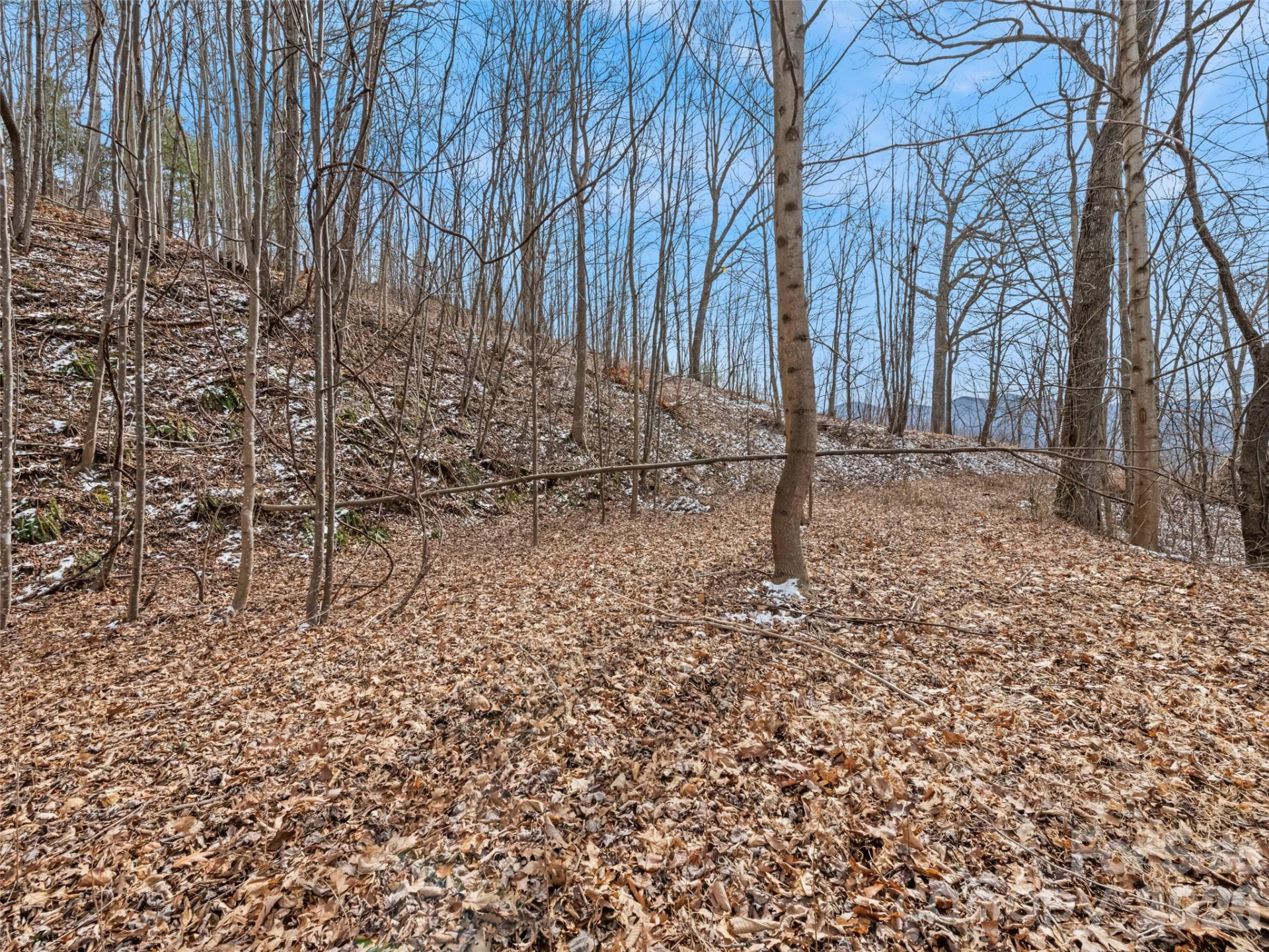 Lot #5 Viewpoint Mountain - Photo 9