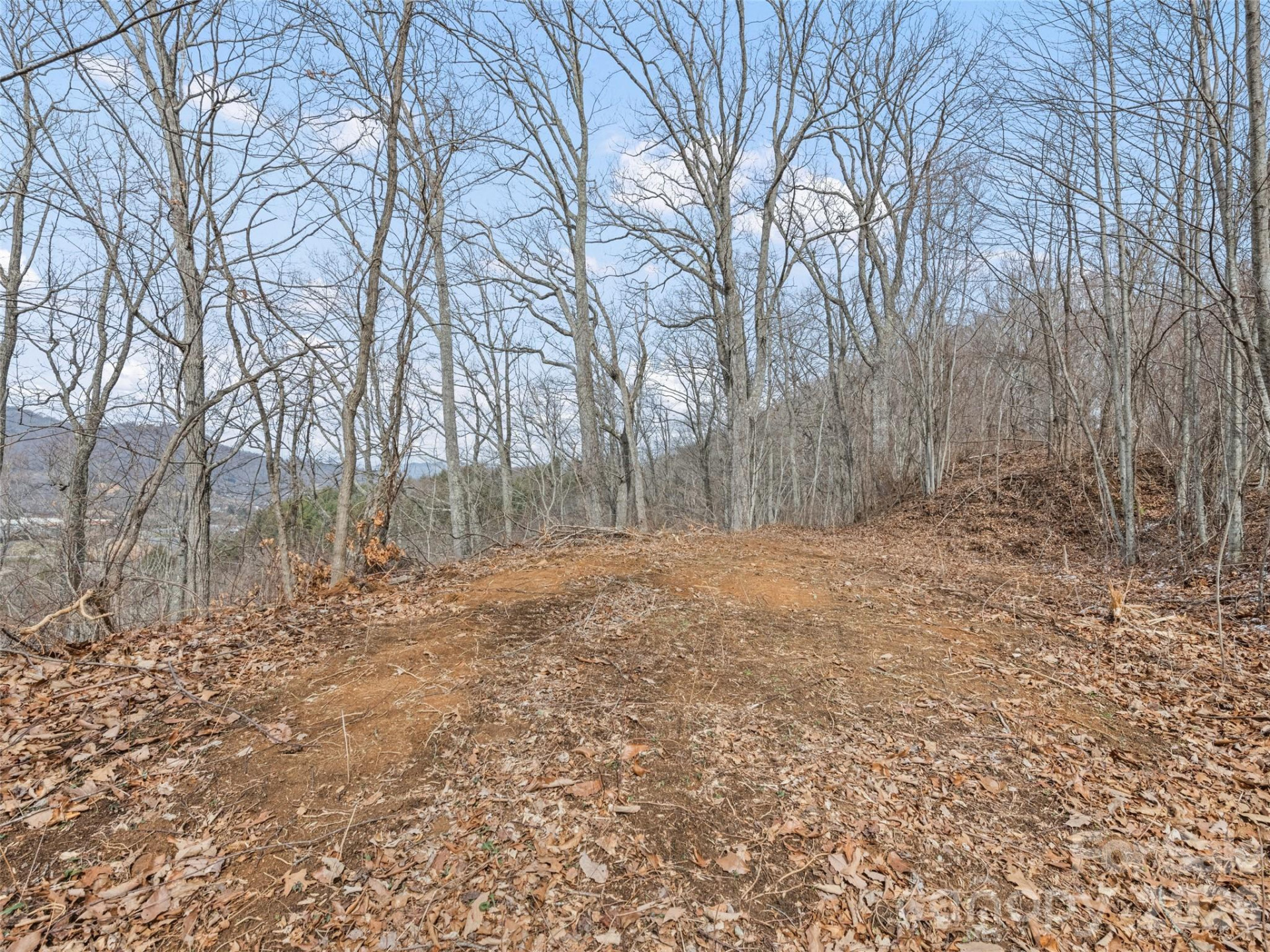 Lots #6 and 7 Viewpoint Mountain - Photo 11