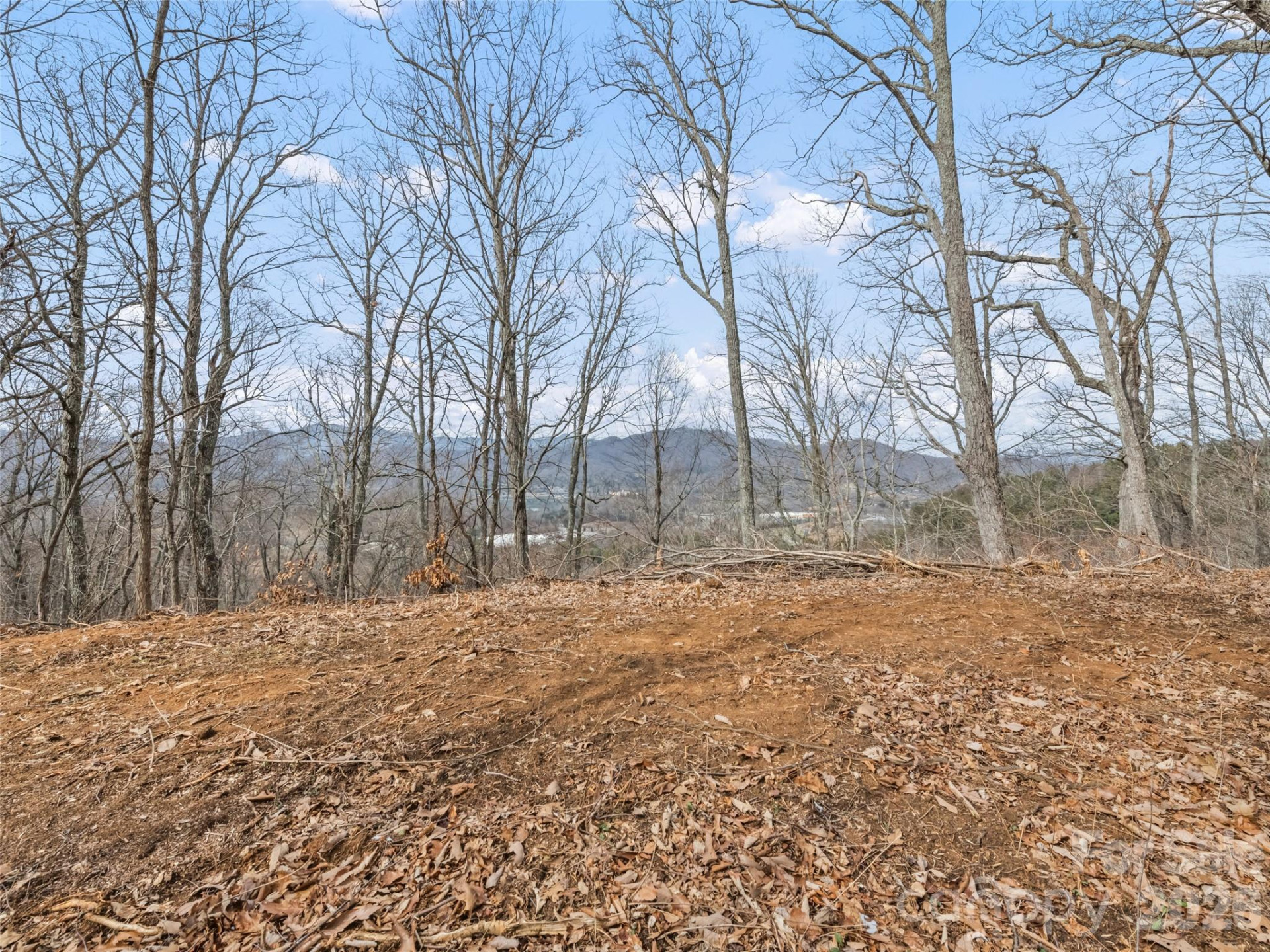 Lots #6 and 7 Viewpoint Mountain - Photo 12