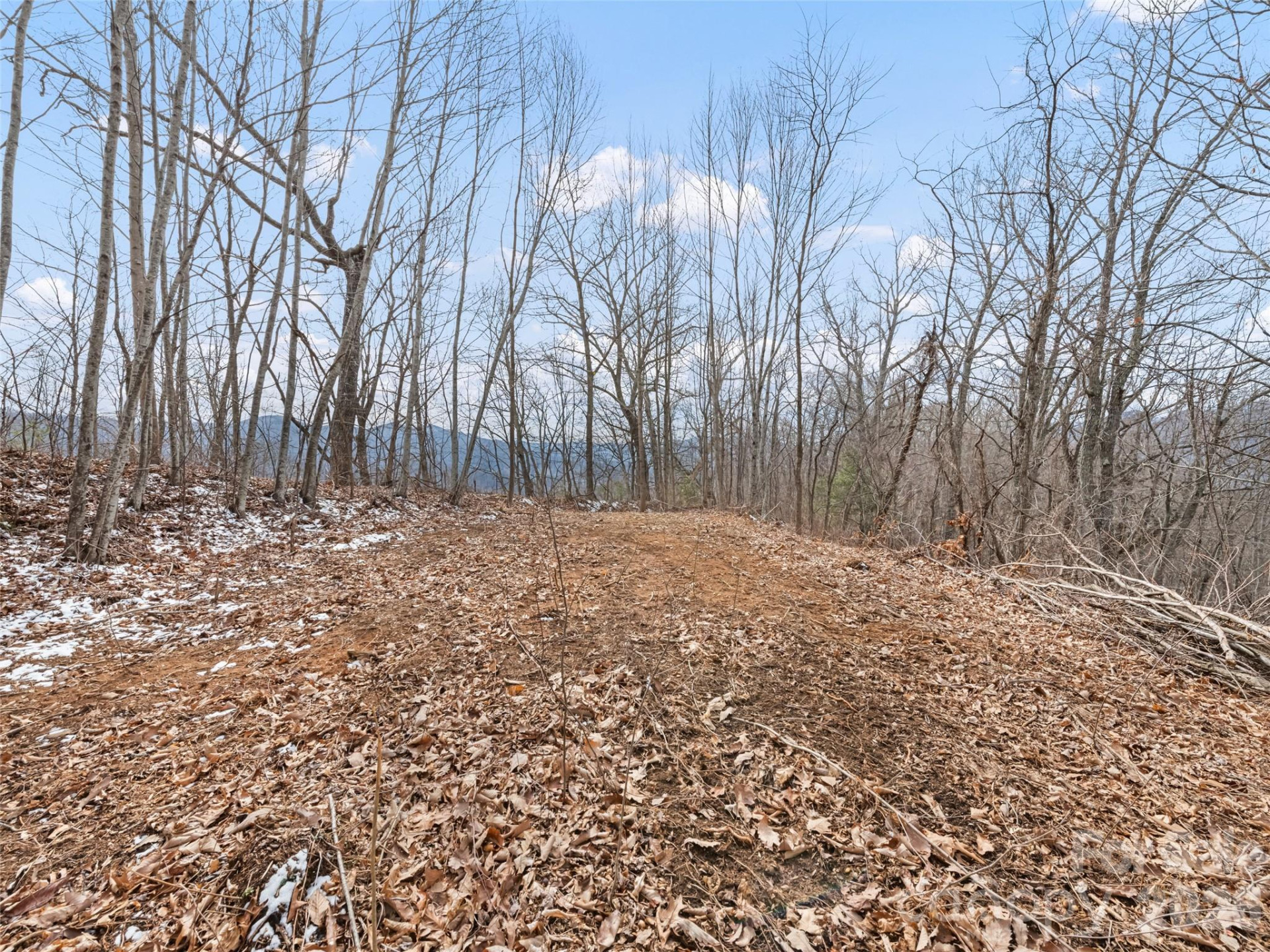 Lots #6 and 7 Viewpoint Mountain - Photo 13