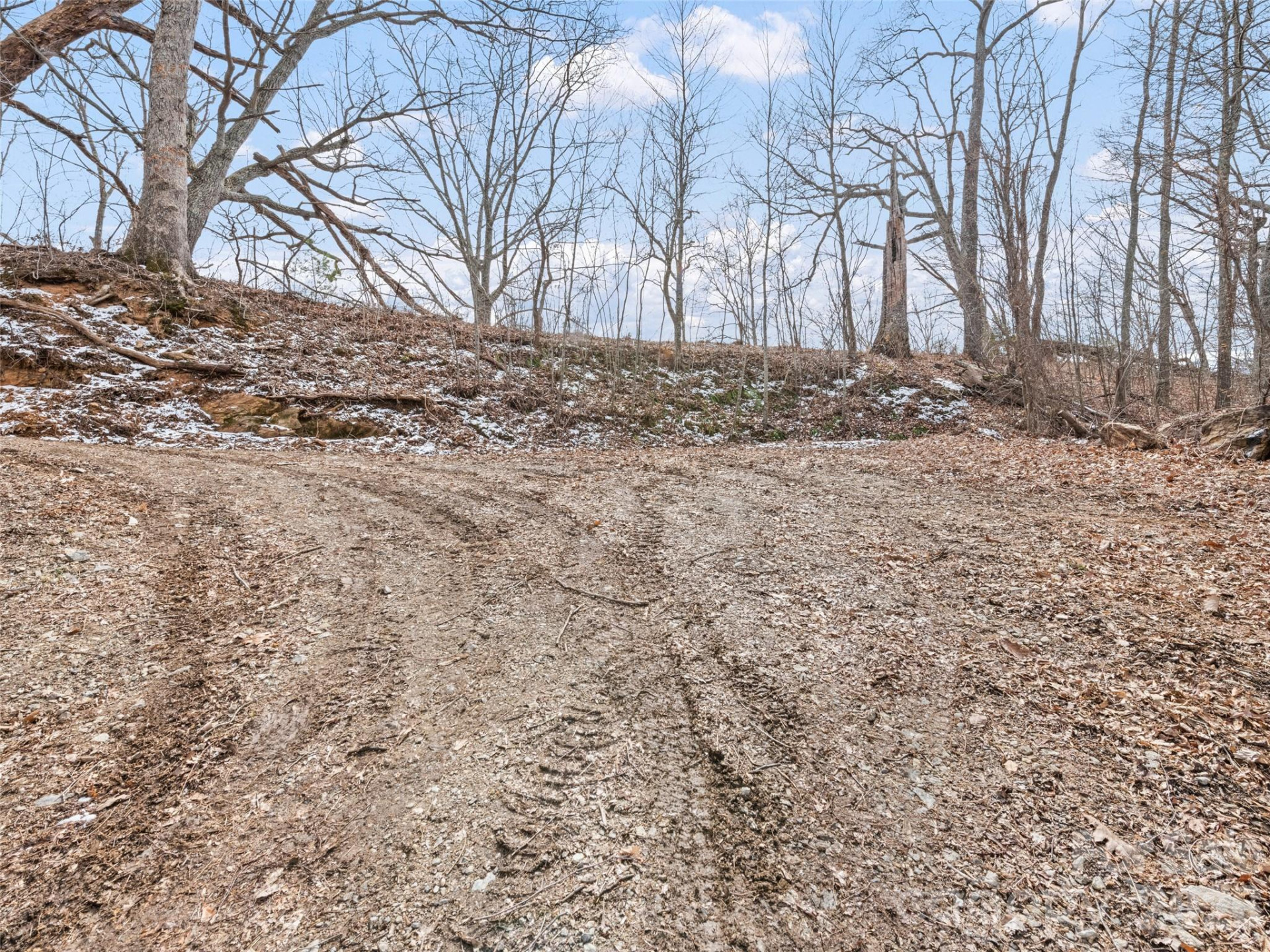 Lots #6 and 7 Viewpoint Mountain - Photo 14